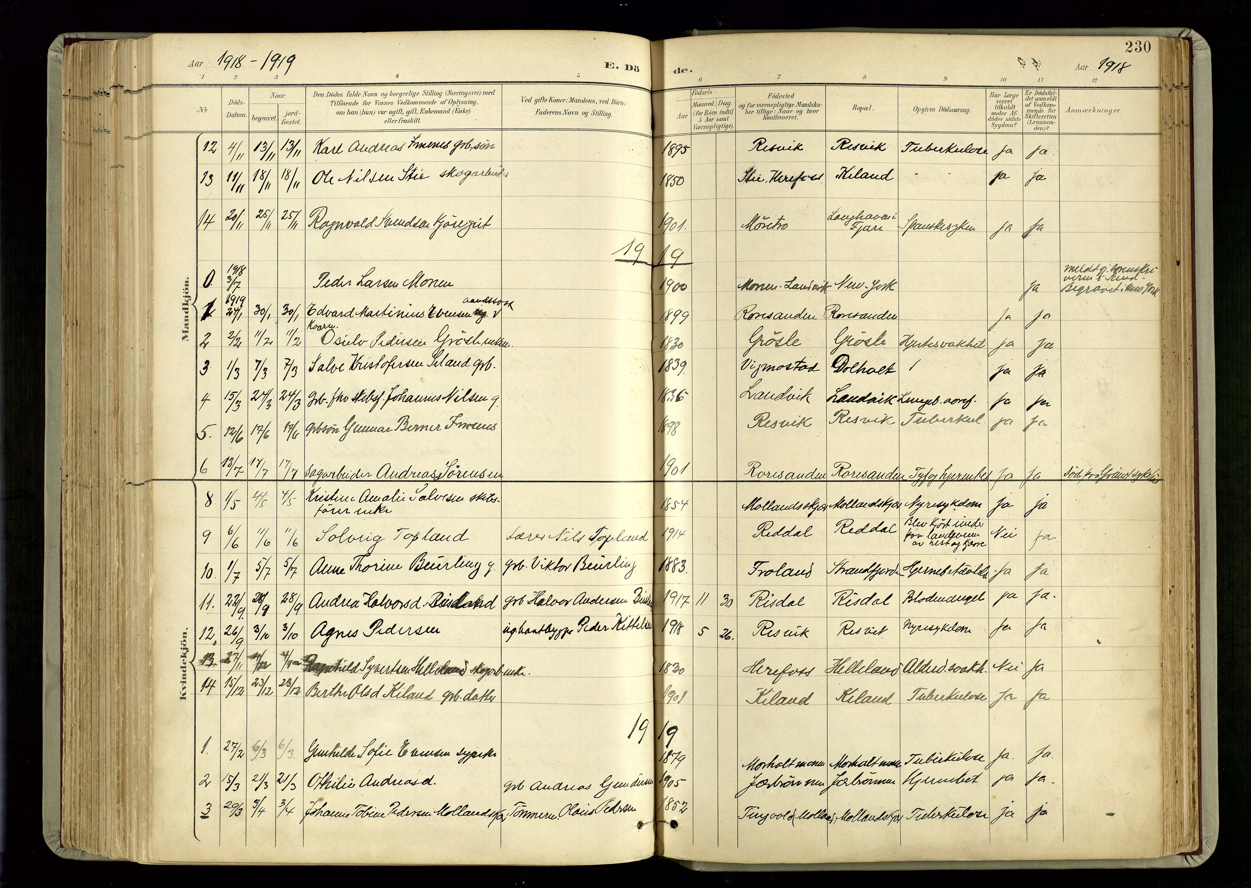 Hommedal sokneprestkontor, SAK/1111-0023/F/Fa/Fab/L0007: Parish register (official) no. A 7, 1898-1924, p. 230