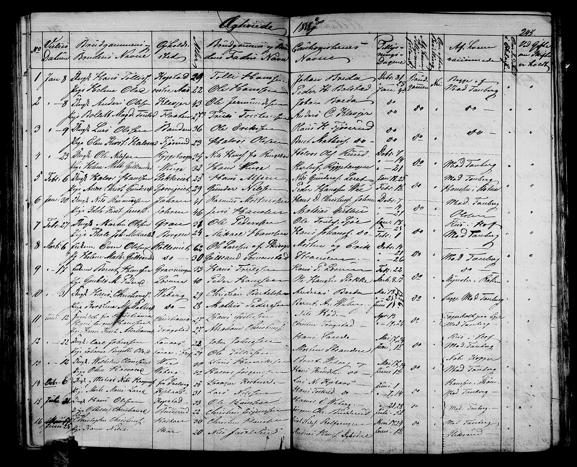 Sande Kirkebøker, AV/SAKO-A-53/G/Ga/L0002: Parish register (copy) no. 2, 1847-1863, p. 245