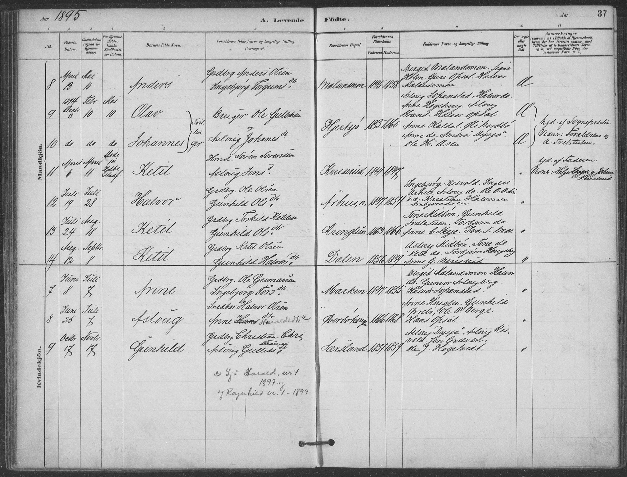 Hjartdal kirkebøker, SAKO/A-270/F/Fa/L0010: Parish register (official) no. I 10, 1880-1929, p. 37