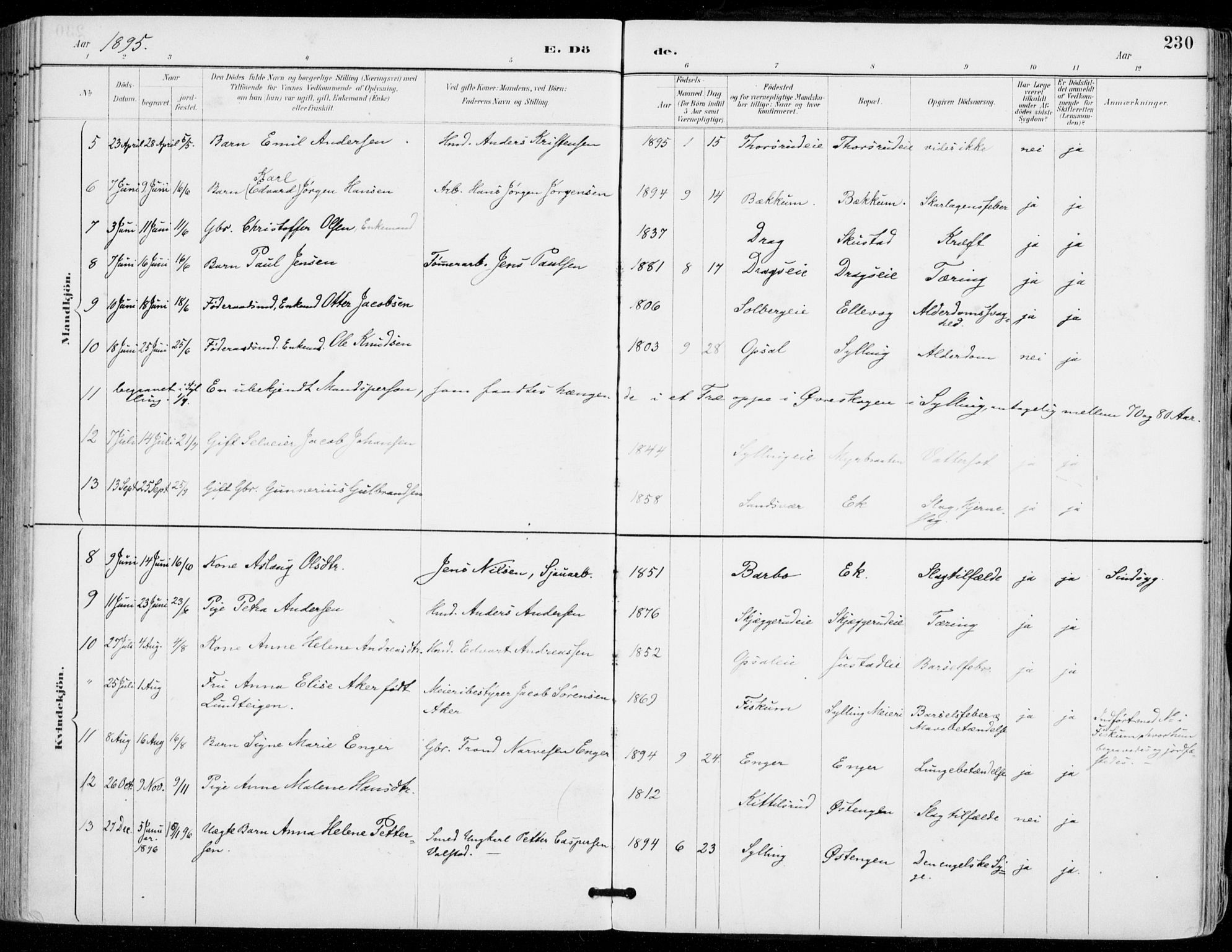 Sylling kirkebøker, AV/SAKO-A-247/F/Fa/L0001: Parish register (official) no. 1, 1883-1910, p. 230