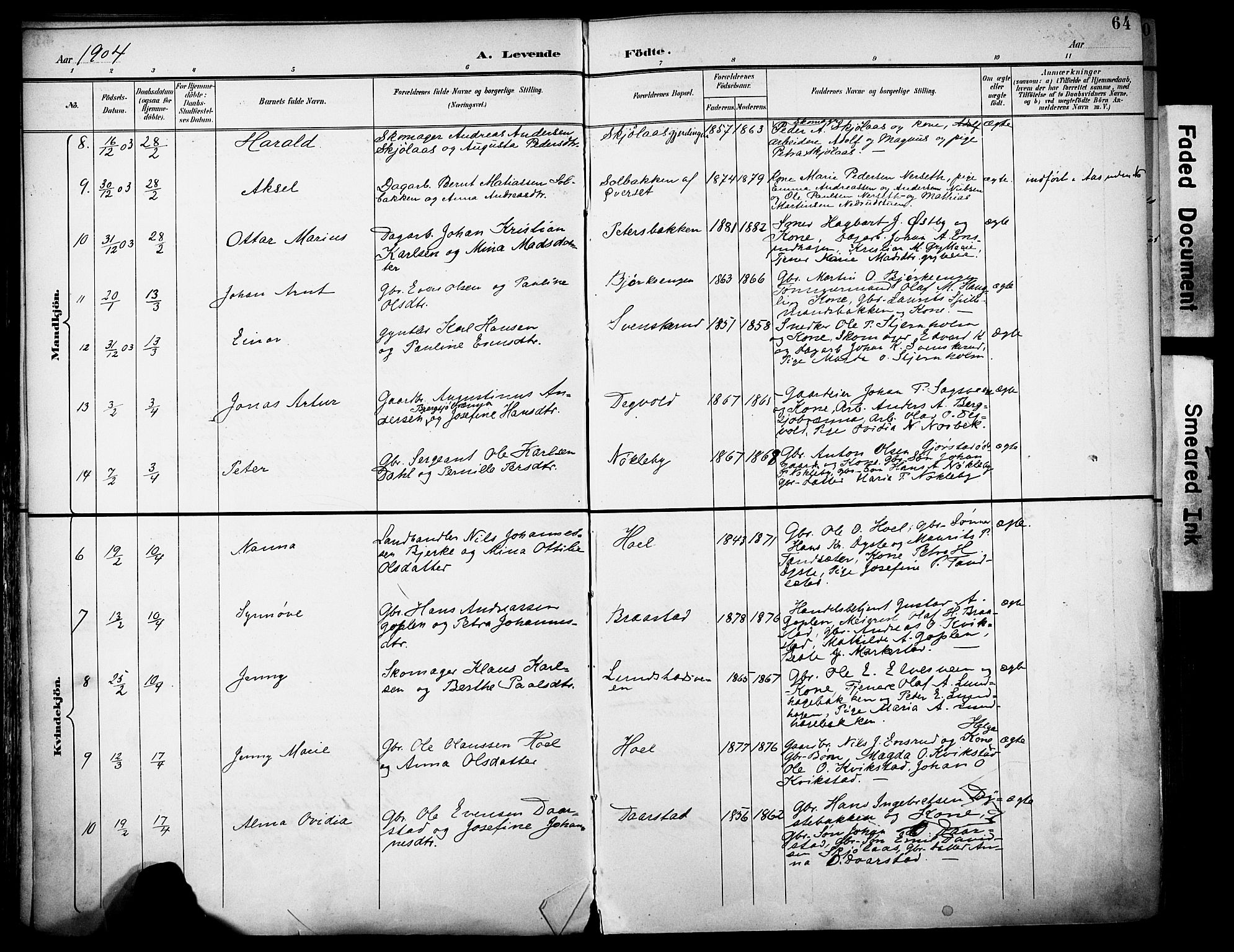 Vestre Toten prestekontor, SAH/PREST-108/H/Ha/Haa/L0013: Parish register (official) no. 13, 1895-1911, p. 64