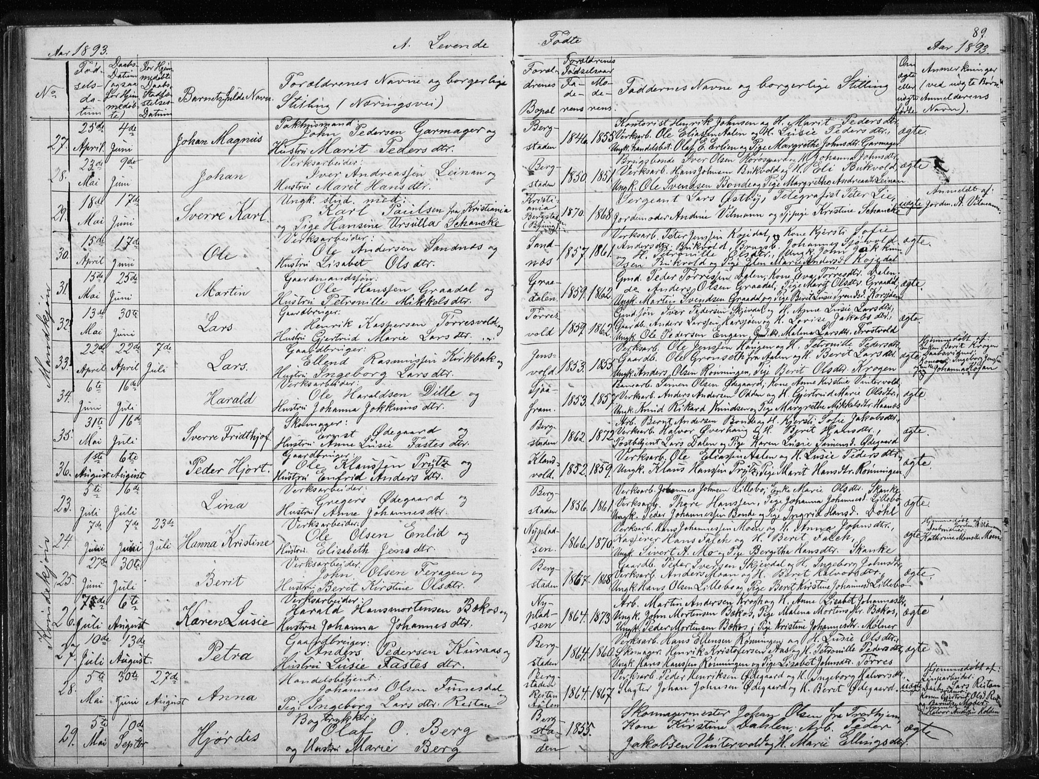 Ministerialprotokoller, klokkerbøker og fødselsregistre - Sør-Trøndelag, SAT/A-1456/681/L0940: Parish register (copy) no. 681C04, 1880-1895, p. 89