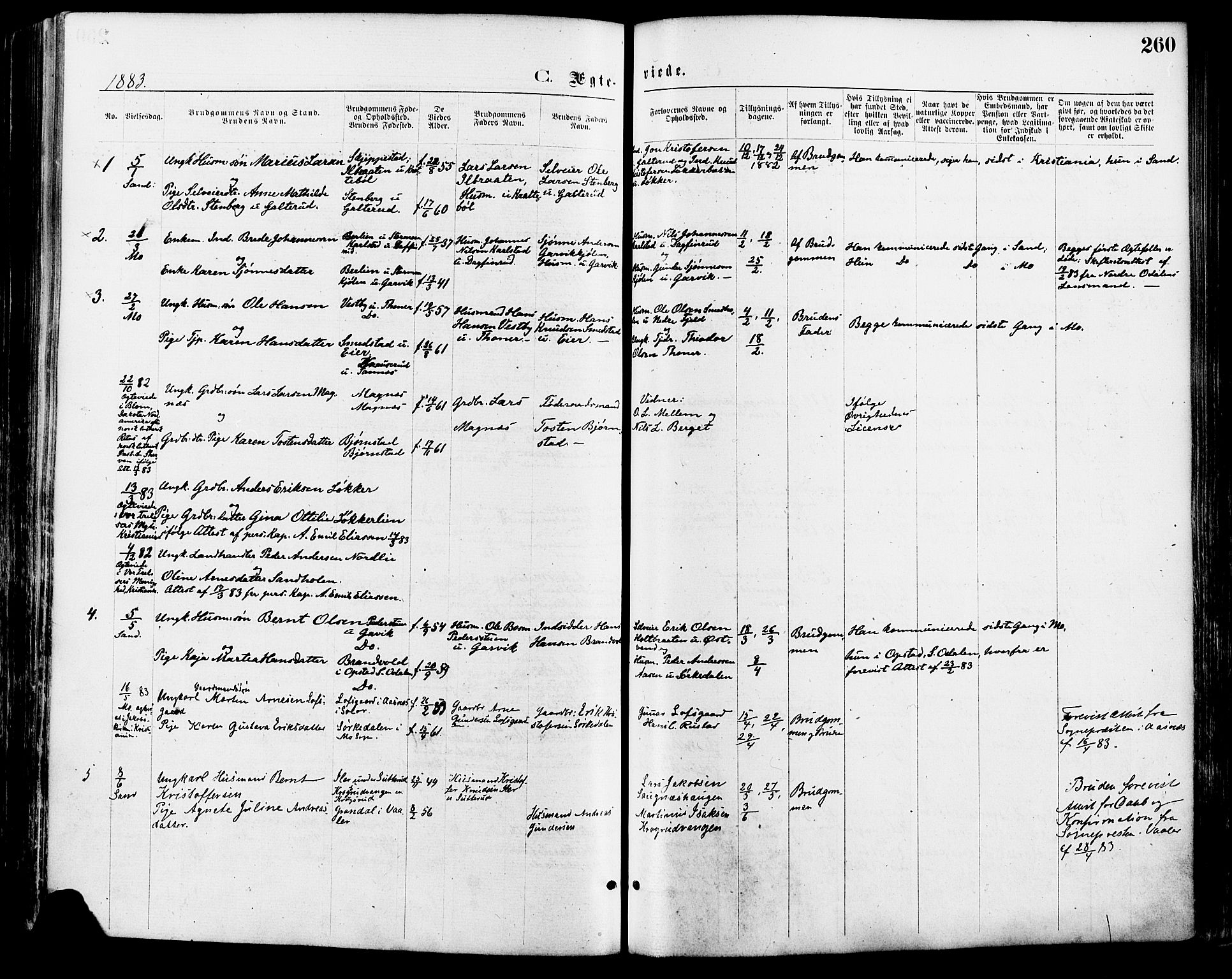 Nord-Odal prestekontor, AV/SAH-PREST-032/H/Ha/Haa/L0005: Parish register (official) no. 5, 1874-1885, p. 260