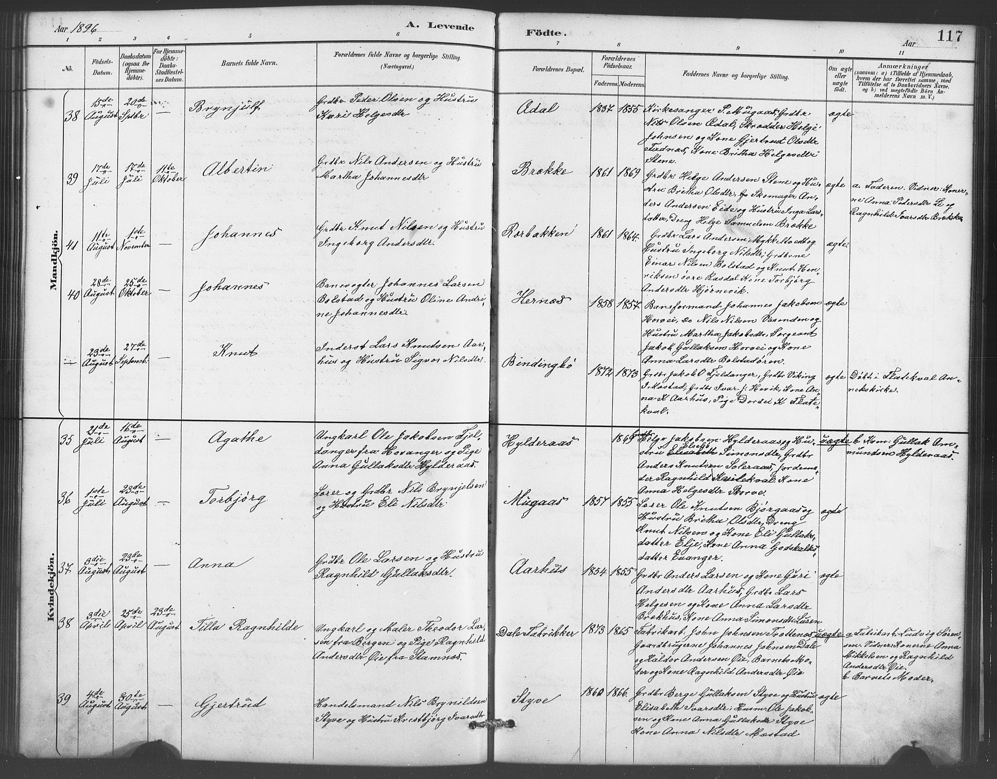 Evanger sokneprestembete, SAB/A-99924: Parish register (copy) no. A 4, 1887-1897, p. 117