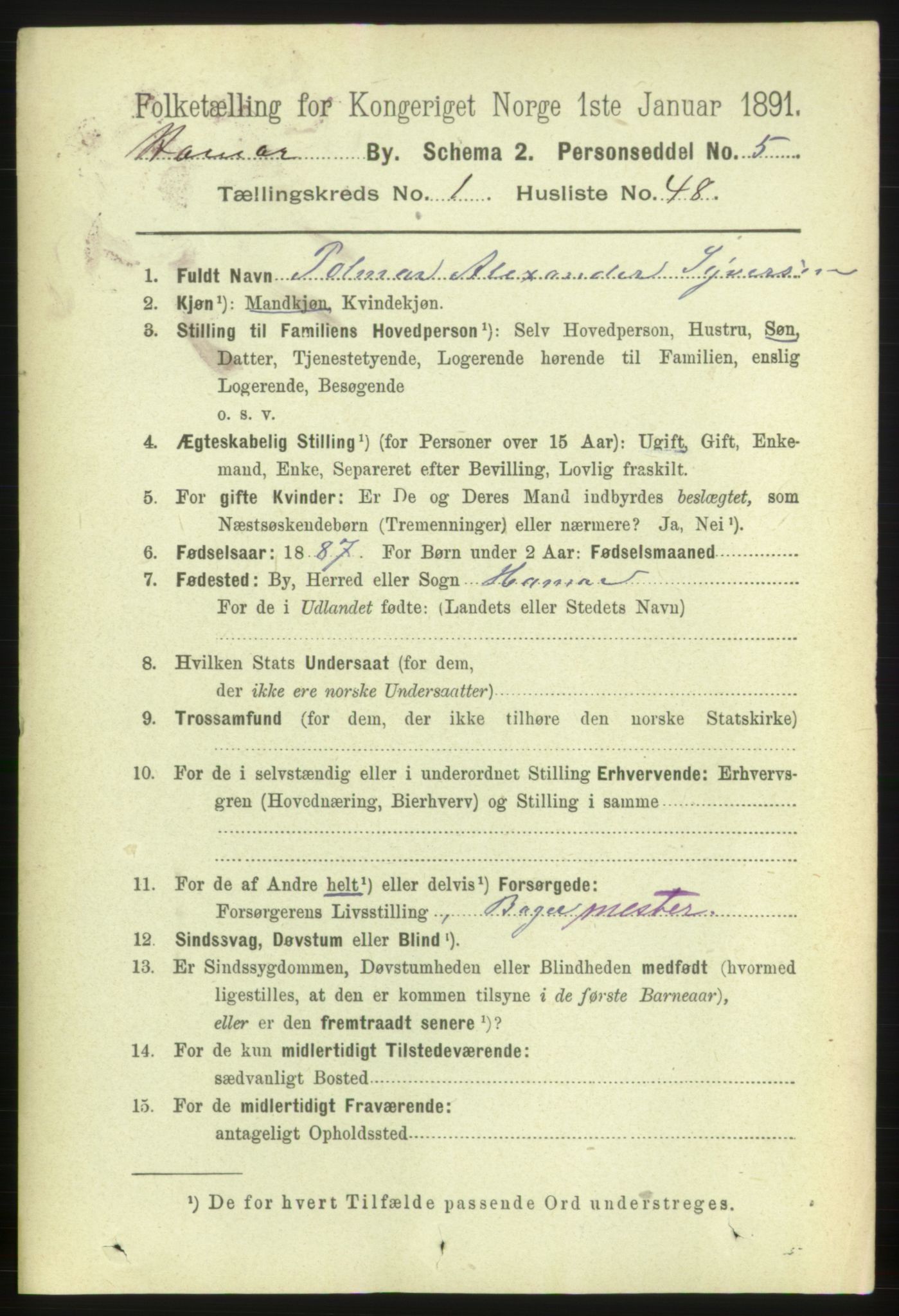 RA, 1891 census for 0401 Hamar, 1891, p. 790