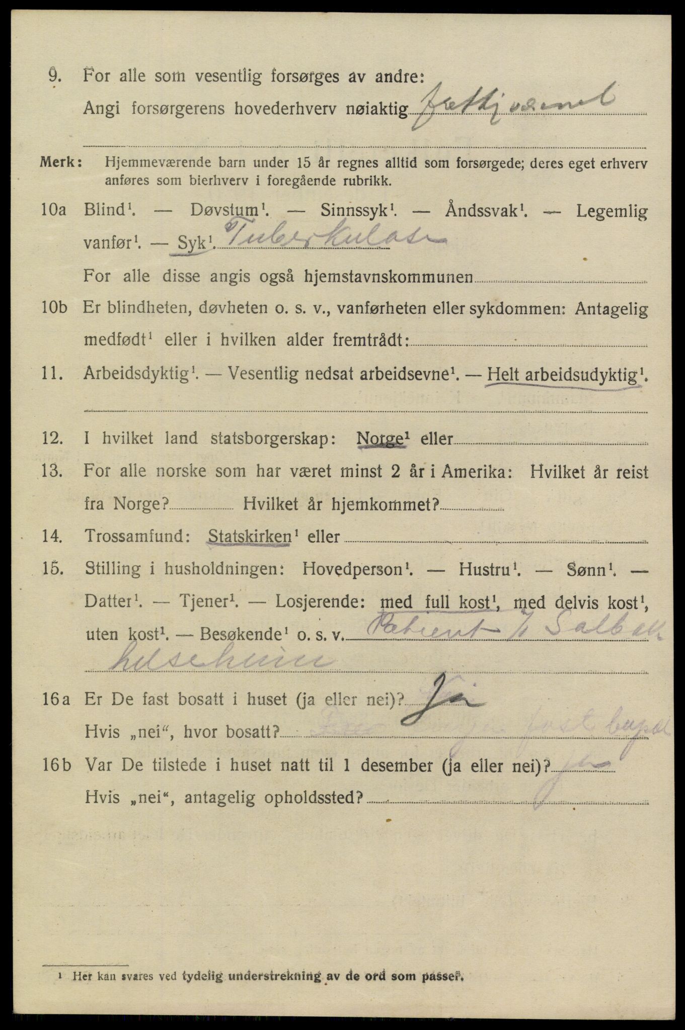 SAKO, 1920 census for Heddal, 1920, p. 2369