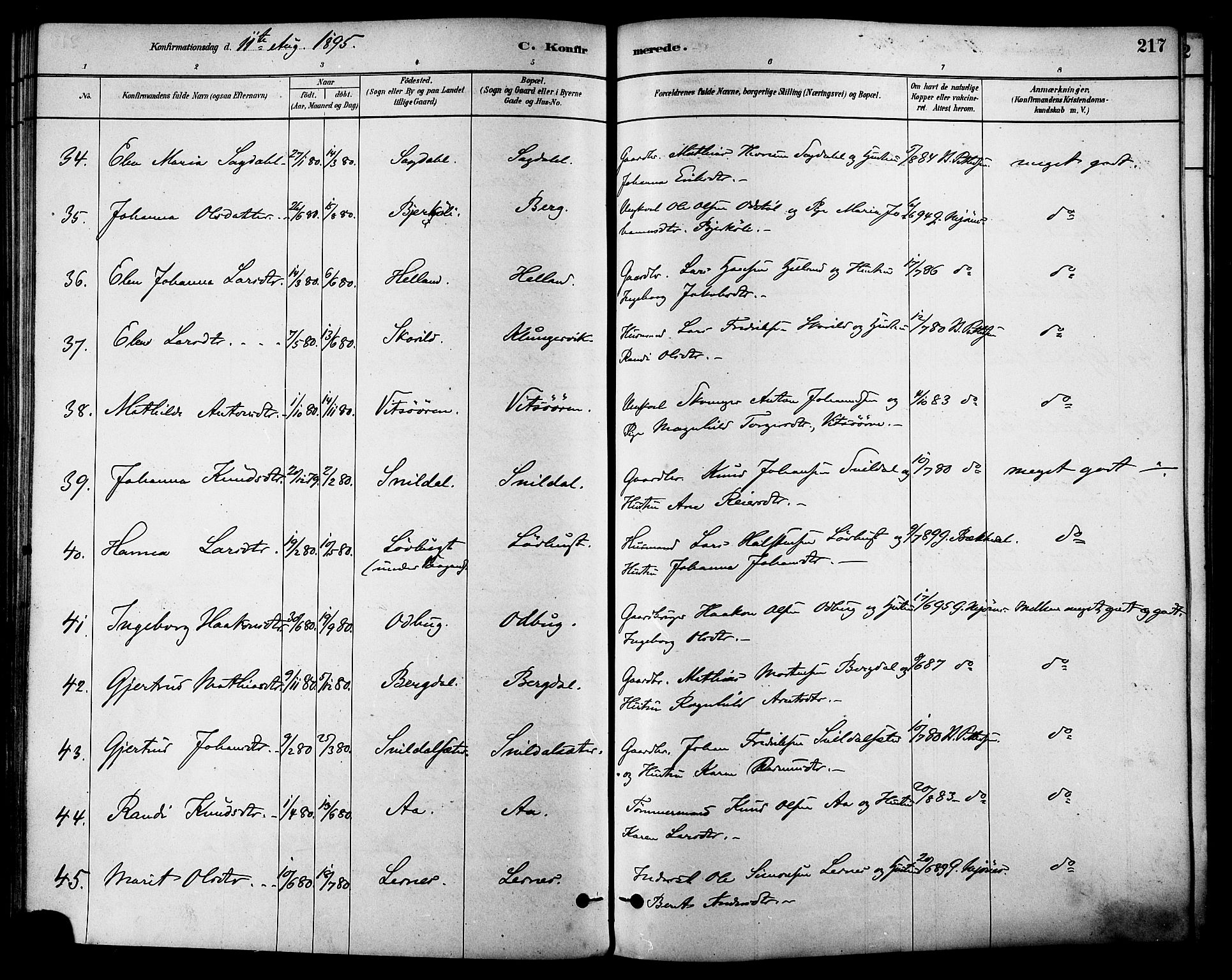 Ministerialprotokoller, klokkerbøker og fødselsregistre - Sør-Trøndelag, SAT/A-1456/630/L0496: Parish register (official) no. 630A09, 1879-1895, p. 217