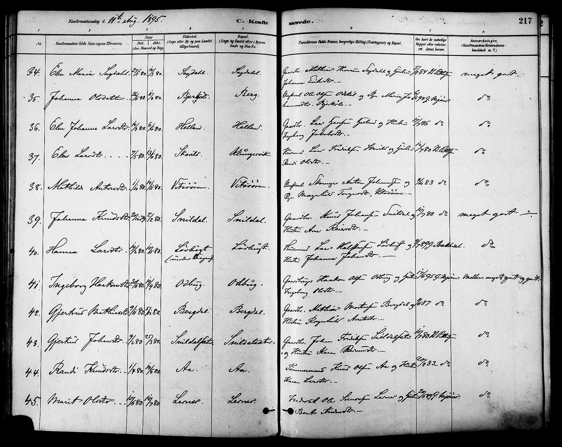 Ministerialprotokoller, klokkerbøker og fødselsregistre - Sør-Trøndelag, AV/SAT-A-1456/630/L0496: Parish register (official) no. 630A09, 1879-1895, p. 217