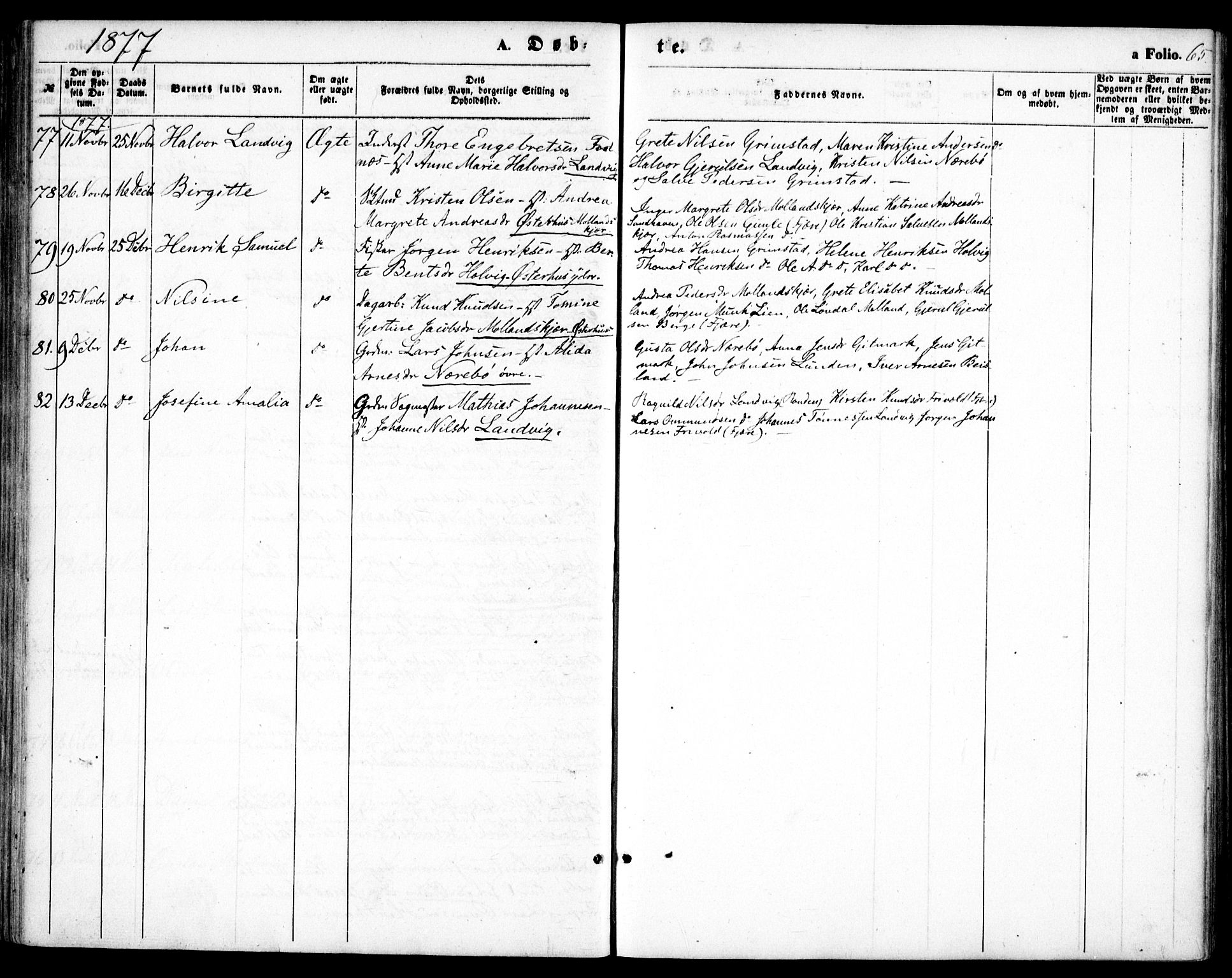 Hommedal sokneprestkontor, AV/SAK-1111-0023/F/Fa/Fab/L0005: Parish register (official) no. A 5, 1861-1877, p. 65