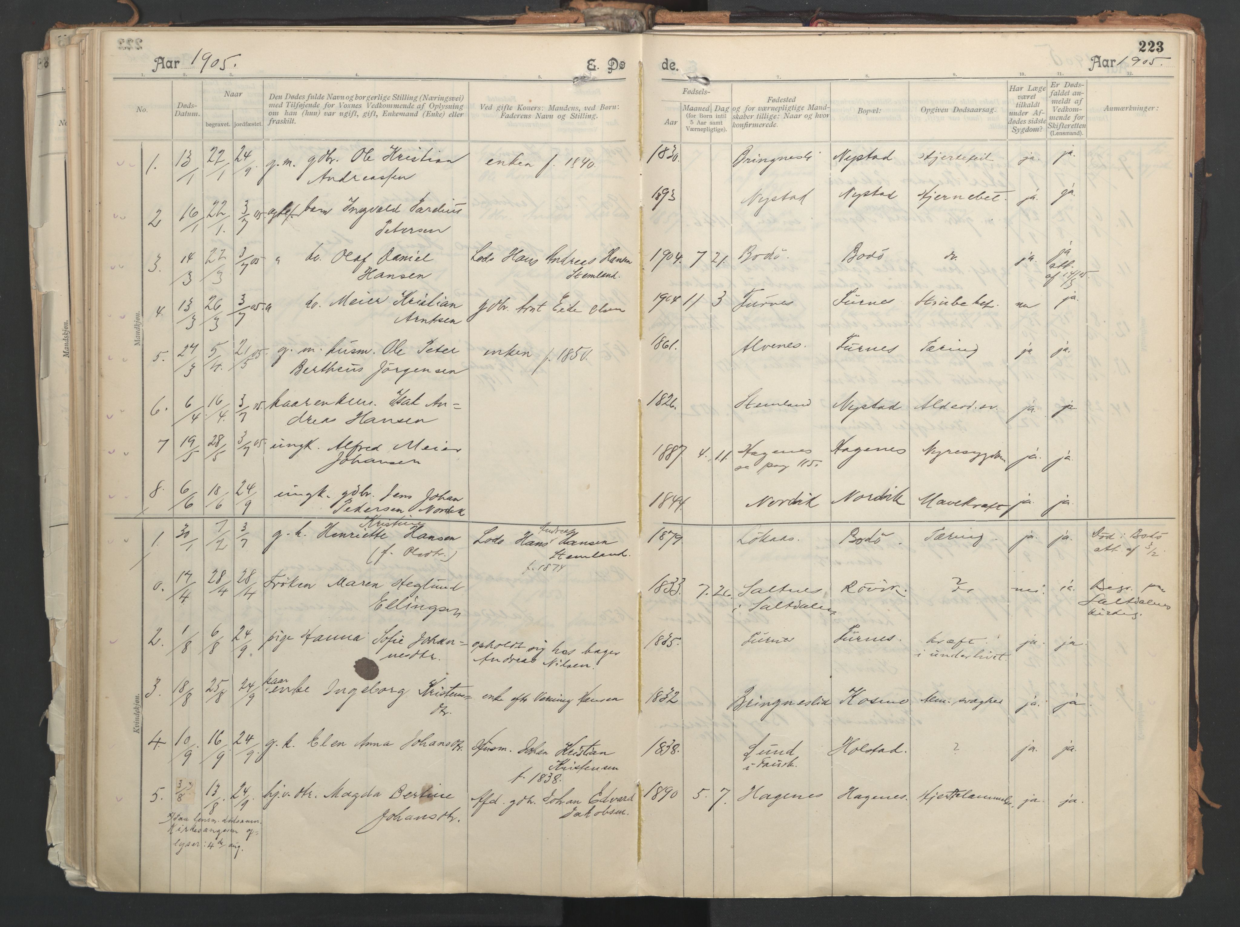 Ministerialprotokoller, klokkerbøker og fødselsregistre - Nordland, AV/SAT-A-1459/851/L0724: Parish register (official) no. 851A01, 1901-1922, p. 223