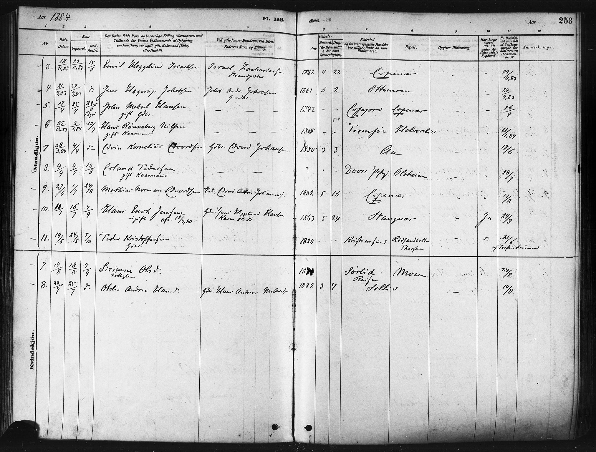 Tranøy sokneprestkontor, SATØ/S-1313/I/Ia/Iaa/L0009kirke: Parish register (official) no. 9, 1878-1904, p. 253