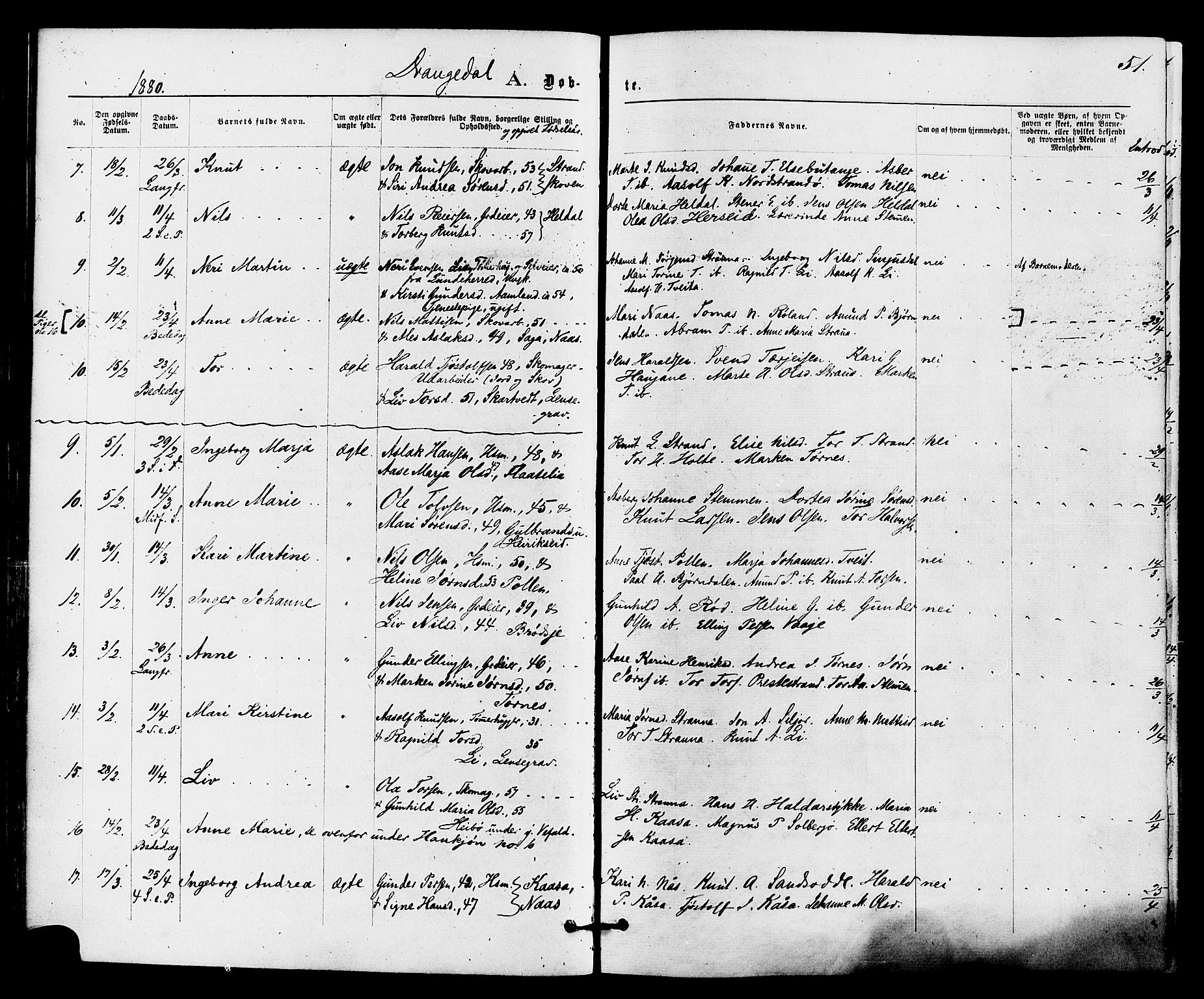 Drangedal kirkebøker, SAKO/A-258/F/Fa/L0009: Parish register (official) no. 9 /1, 1872-1884, p. 51