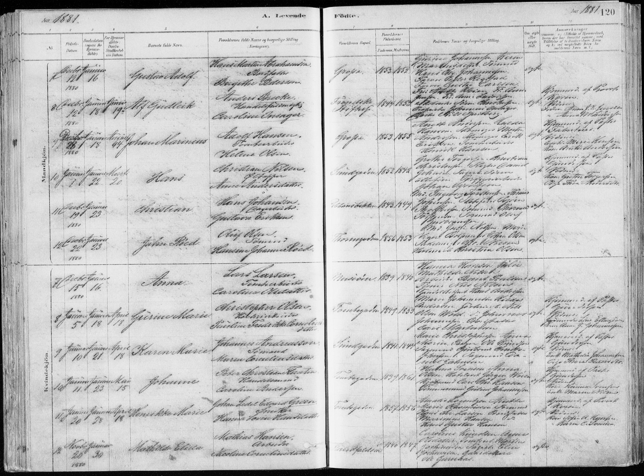 Bragernes kirkebøker, AV/SAKO-A-6/F/Fb/L0006a: Parish register (official) no. II 6A, 1878-1885, p. 120