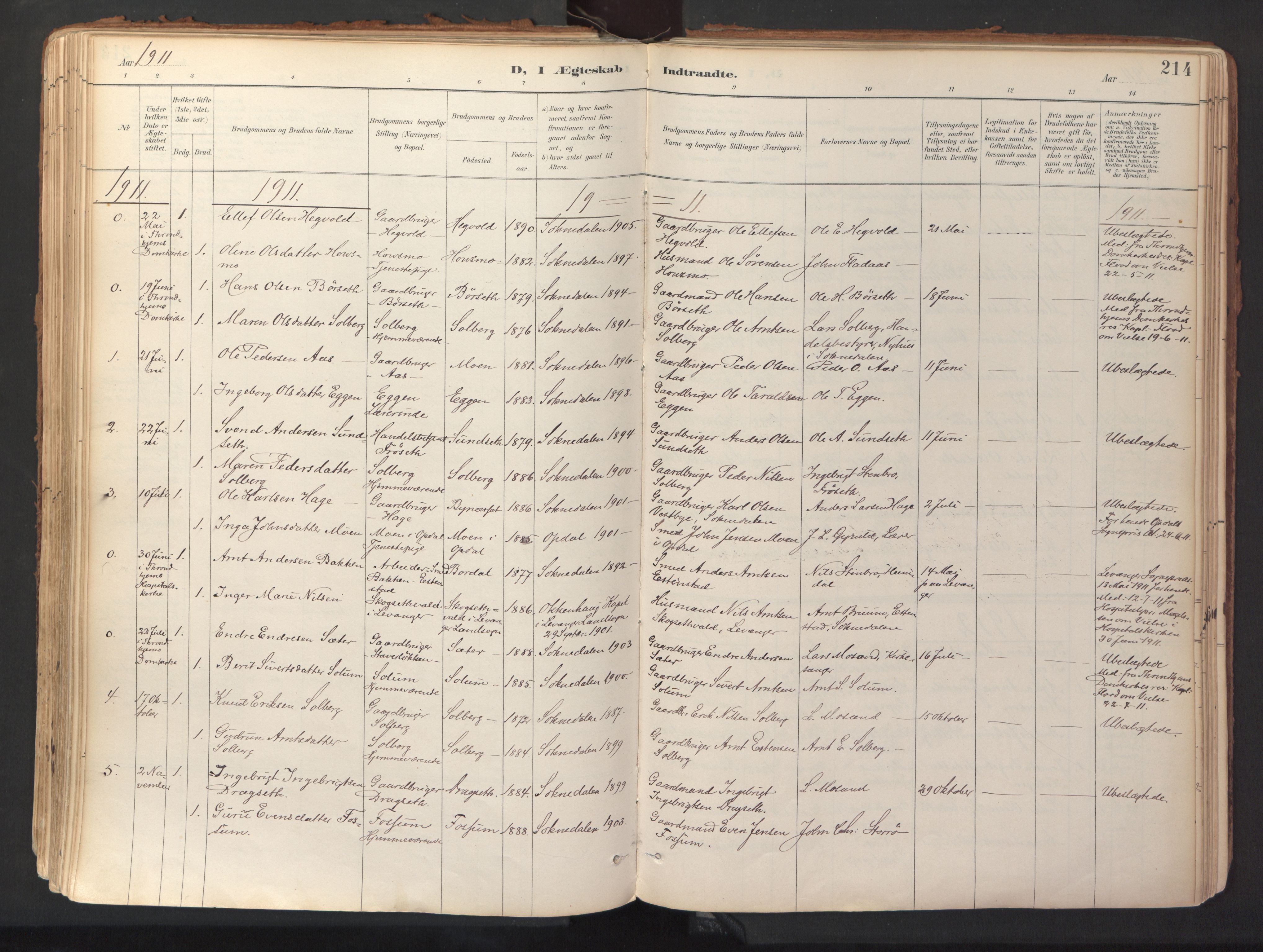 Ministerialprotokoller, klokkerbøker og fødselsregistre - Sør-Trøndelag, SAT/A-1456/689/L1041: Parish register (official) no. 689A06, 1891-1923, p. 214