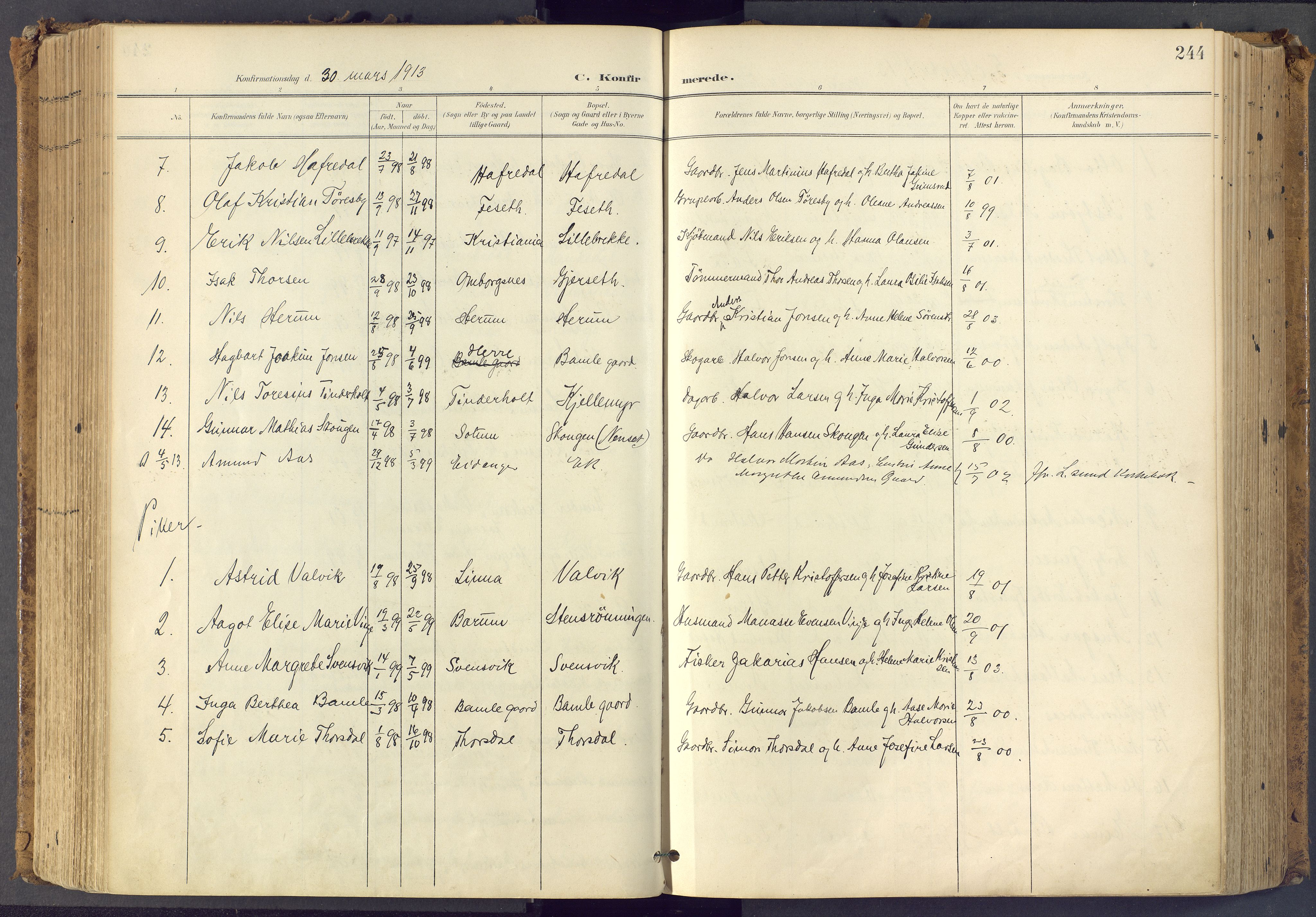 Bamble kirkebøker, SAKO/A-253/F/Fa/L0009: Parish register (official) no. I 9, 1901-1917, p. 244