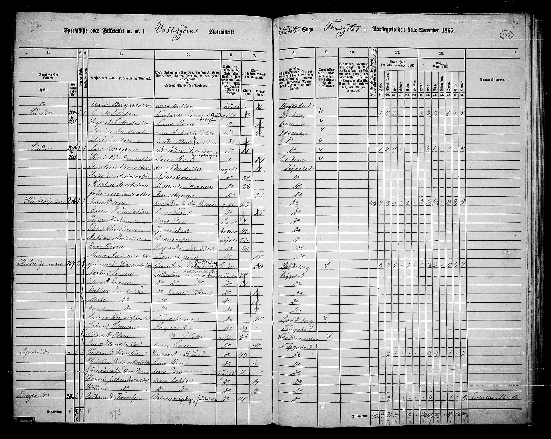 RA, 1865 census for Trøgstad, 1865, p. 143