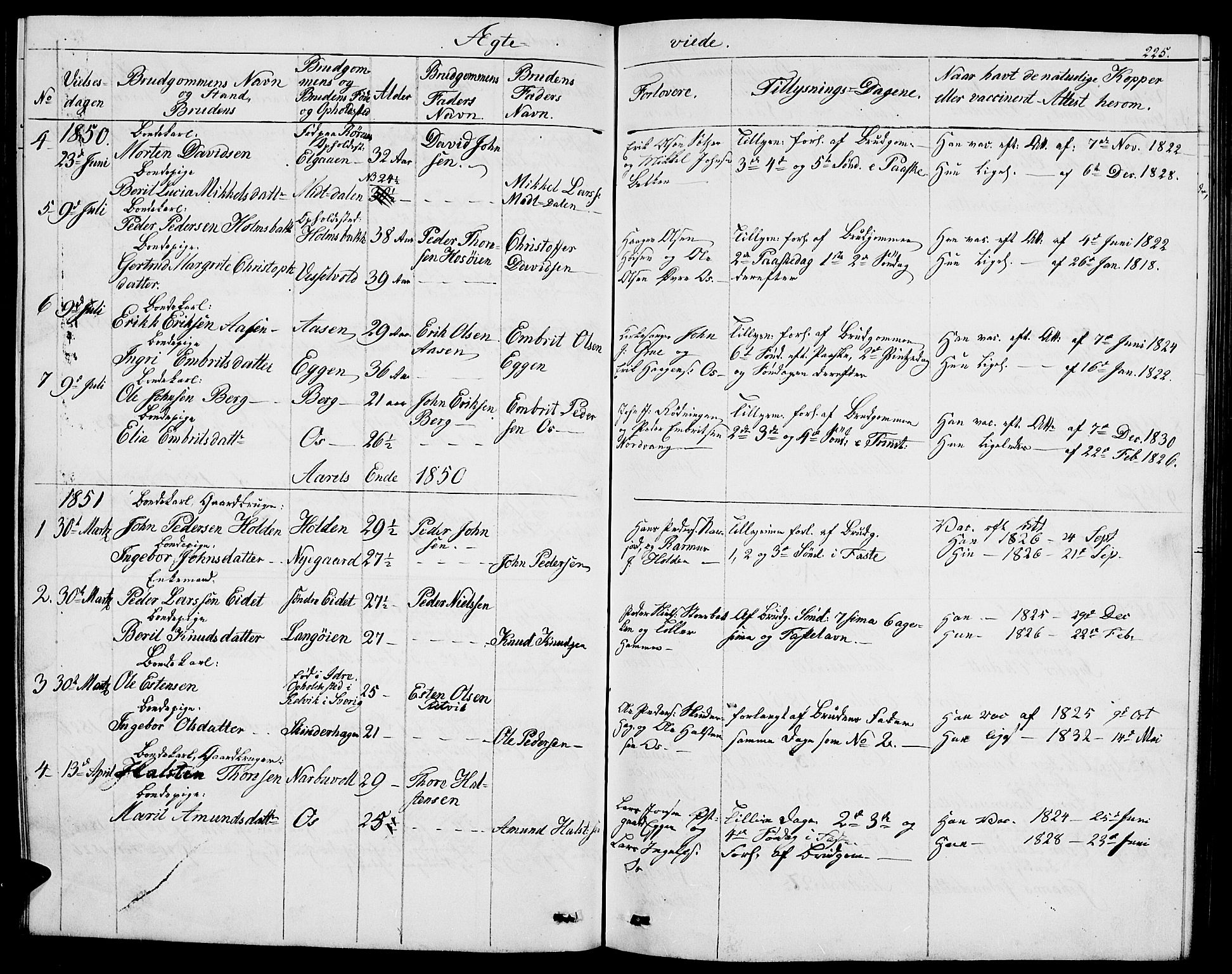 Tolga prestekontor, AV/SAH-PREST-062/L/L0004: Parish register (copy) no. 4, 1845-1887, p. 225