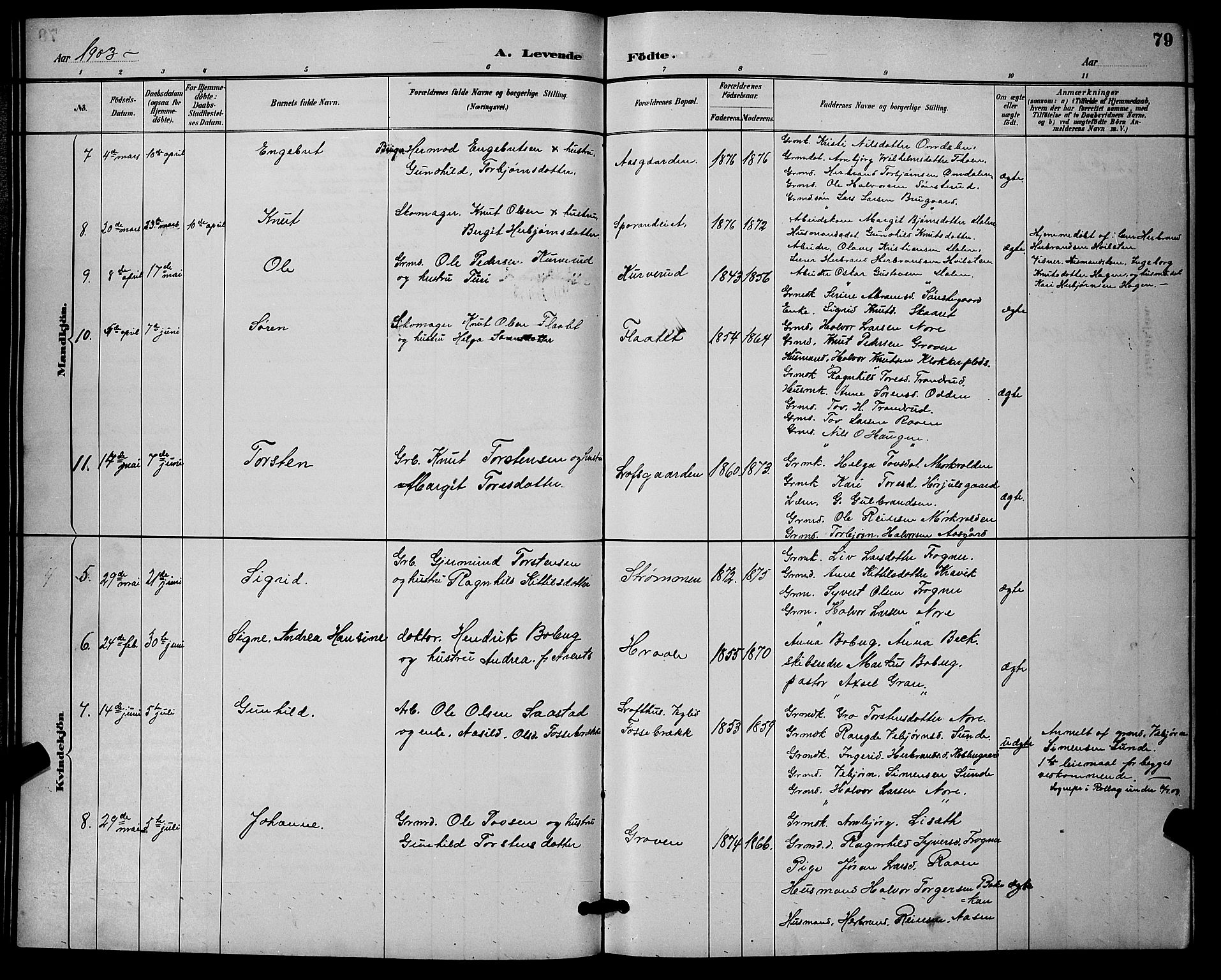 Nore kirkebøker, SAKO/A-238/G/Ga/L0003: Parish register (copy) no. I 3, 1886-1903, p. 79