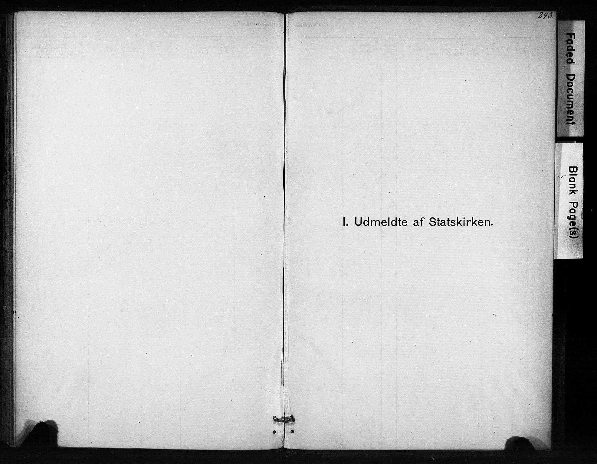 Ministerialprotokoller, klokkerbøker og fødselsregistre - Sør-Trøndelag, SAT/A-1456/694/L1127: Parish register (official) no. 694A01, 1887-1905, p. 243