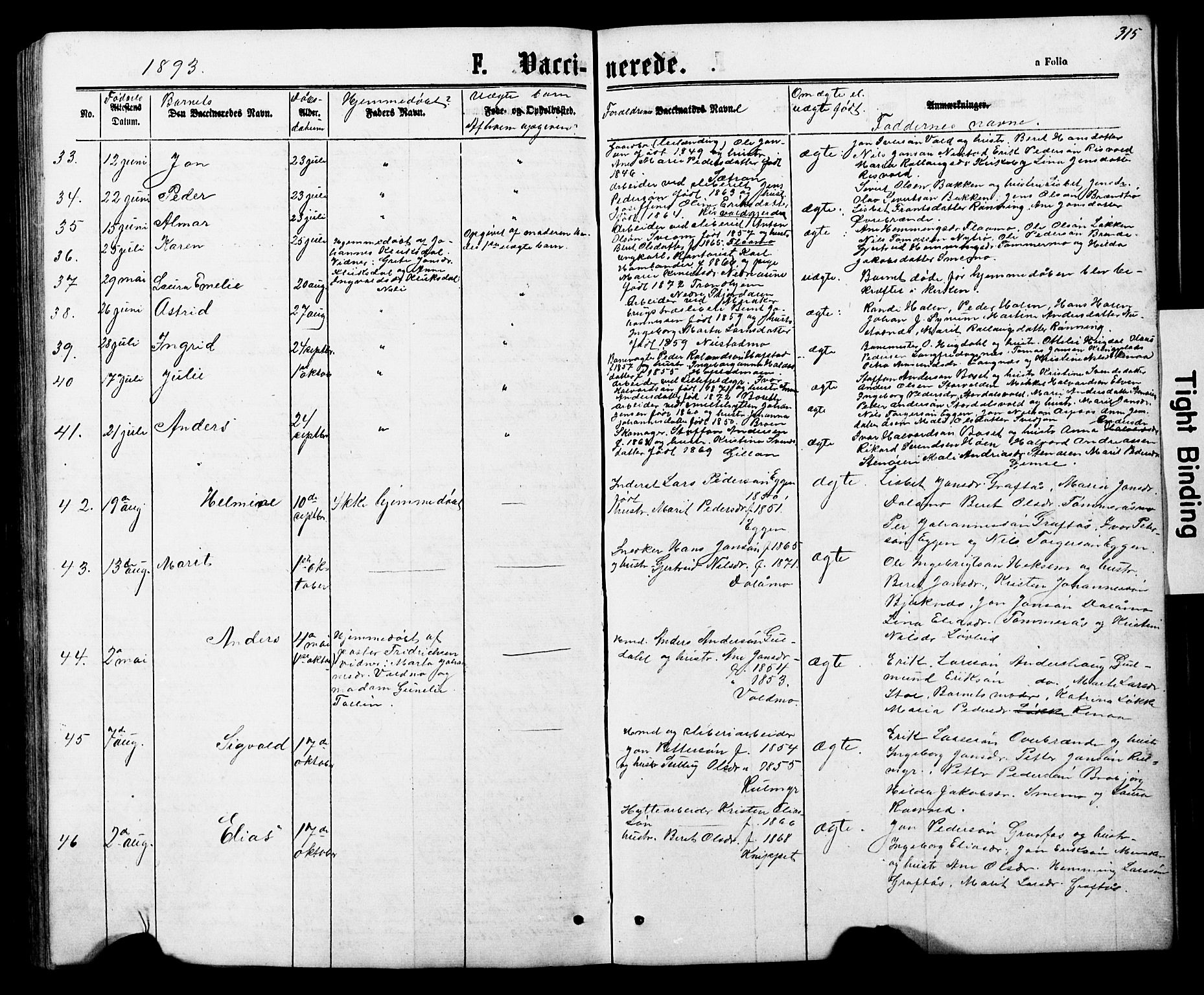 Ministerialprotokoller, klokkerbøker og fødselsregistre - Nord-Trøndelag, AV/SAT-A-1458/706/L0049: Parish register (copy) no. 706C01, 1864-1895, p. 315