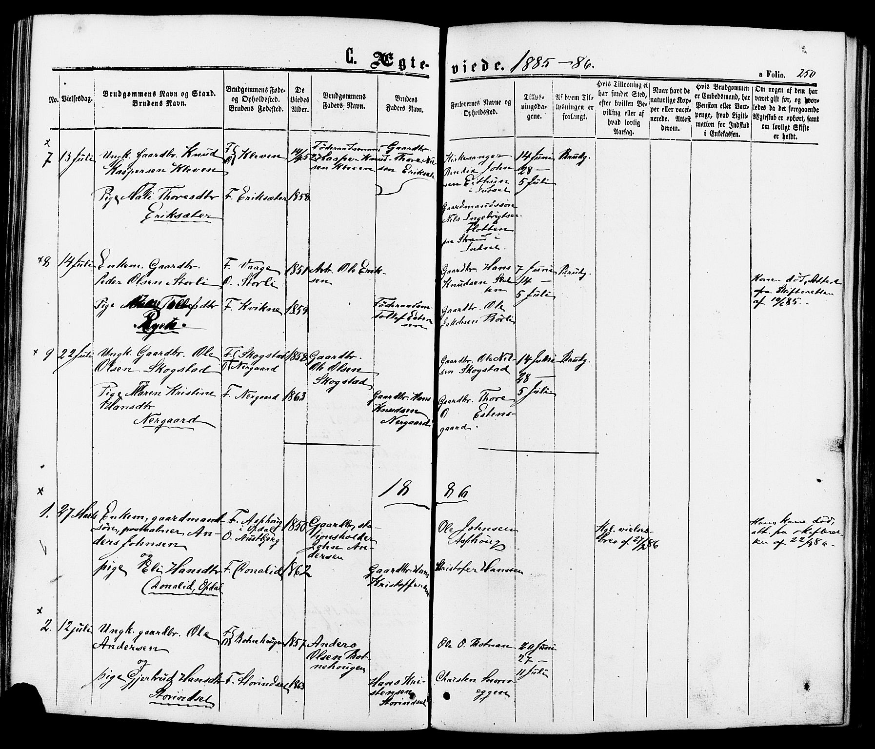 Kvikne prestekontor, SAH/PREST-064/H/Ha/Haa/L0006: Parish register (official) no. 6, 1863-1886, p. 250