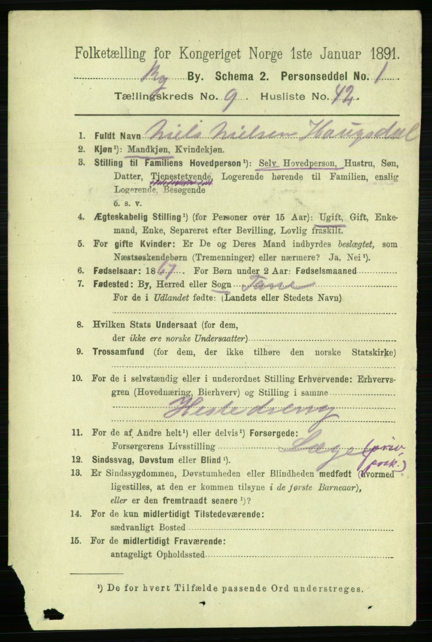 RA, 1891 Census for 1301 Bergen, 1891, p. 18815