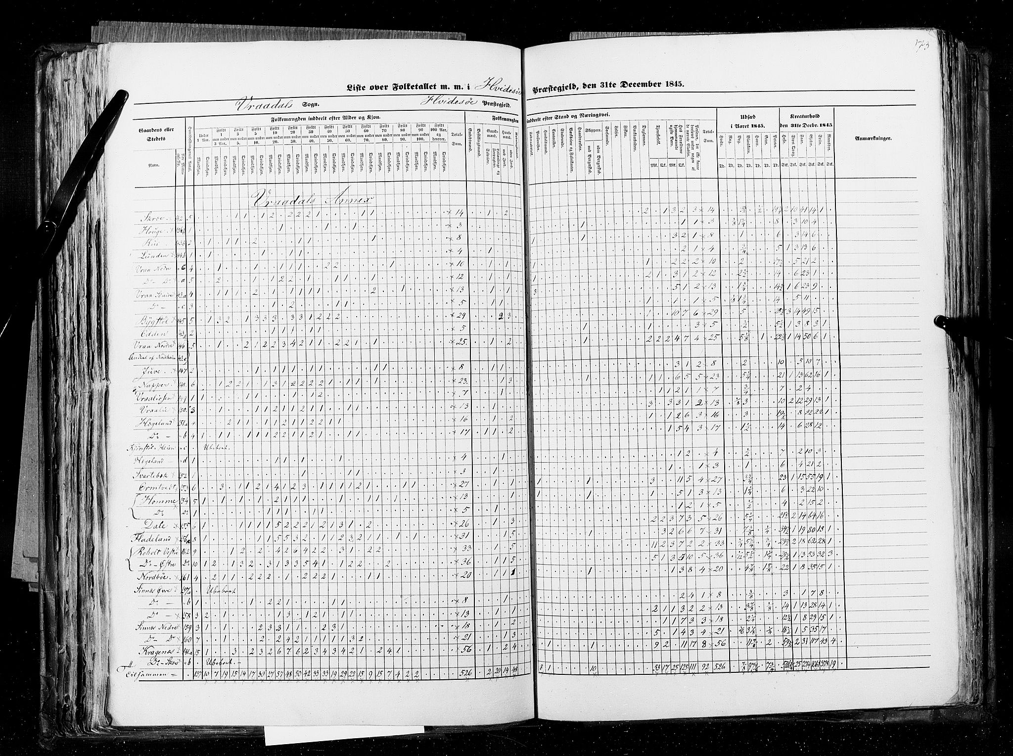 RA, Census 1845, vol. 5: Bratsberg amt og Nedenes og Råbyggelaget amt, 1845, p. 173