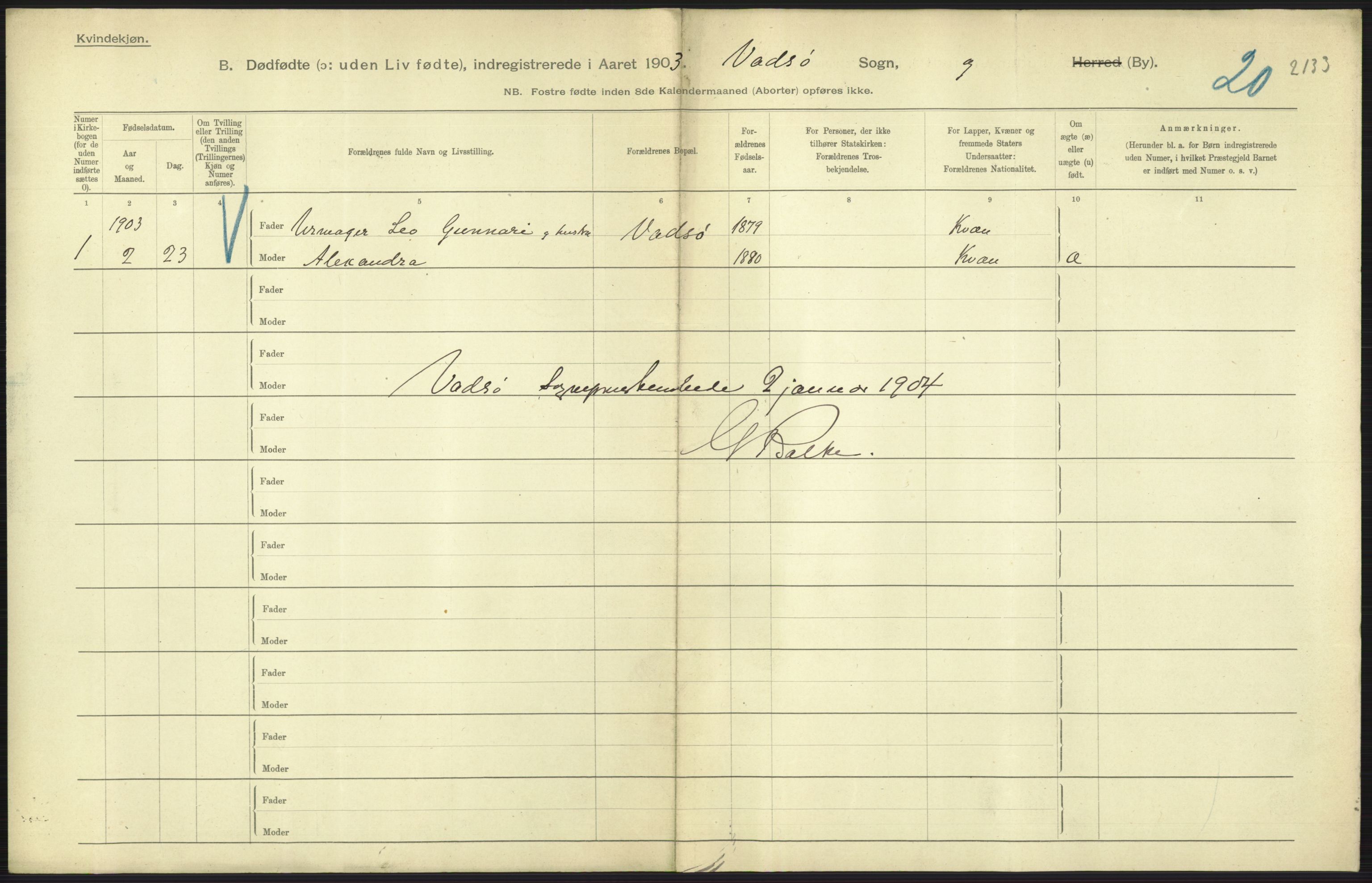 Statistisk sentralbyrå, Sosiodemografiske emner, Befolkning, AV/RA-S-2228/D/Df/Dfa/Dfaa/L0026: Smålenenes - Finnmarkens amt: Dødfødte. Byer., 1903, p. 191