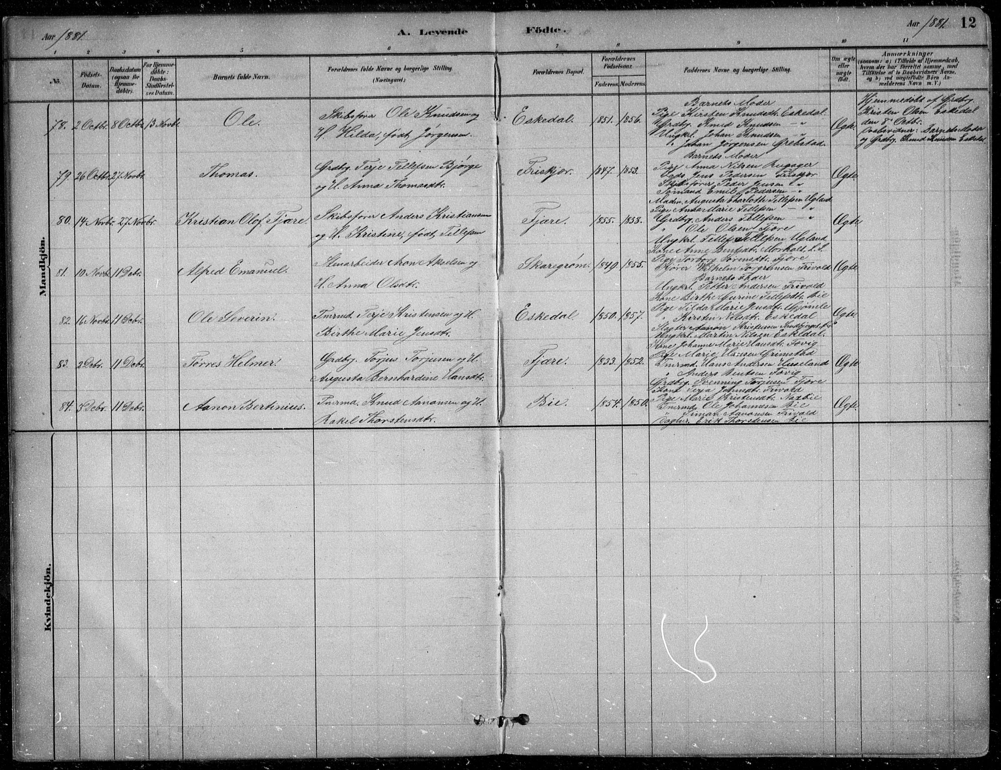 Fjære sokneprestkontor, AV/SAK-1111-0011/F/Fb/L0011: Parish register (copy) no. B 11, 1881-1905, p. 12
