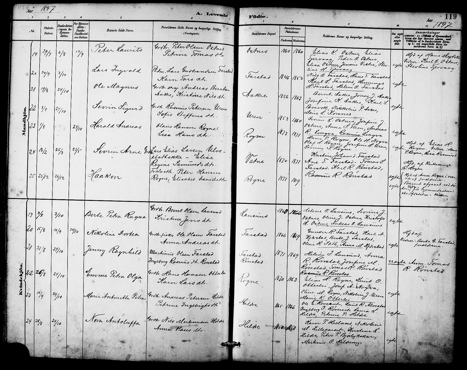 Ministerialprotokoller, klokkerbøker og fødselsregistre - Møre og Romsdal, AV/SAT-A-1454/536/L0510: Parish register (copy) no. 536C05, 1881-1898, p. 119