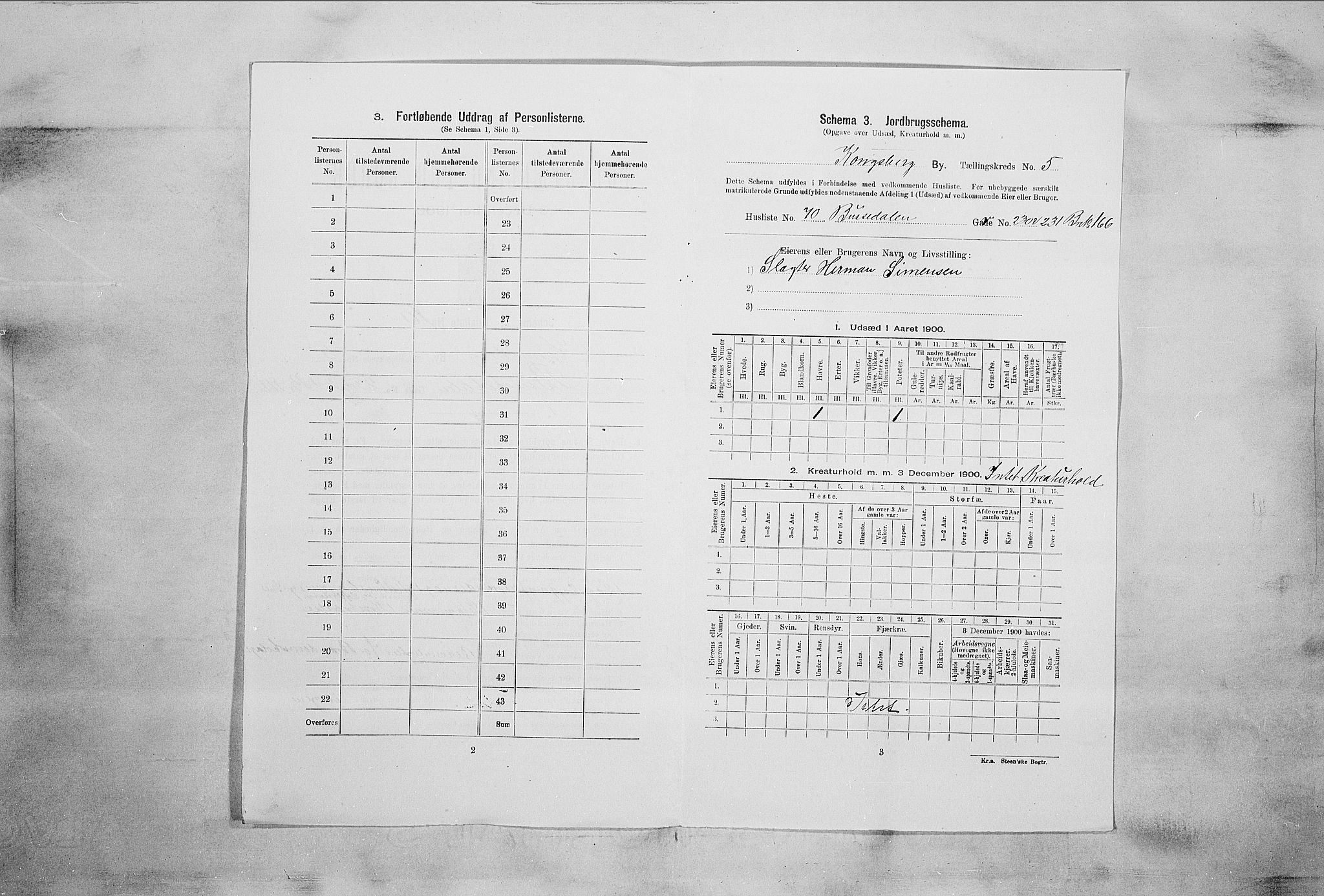 RA, 1900 census for Kongsberg, 1900, p. 1030