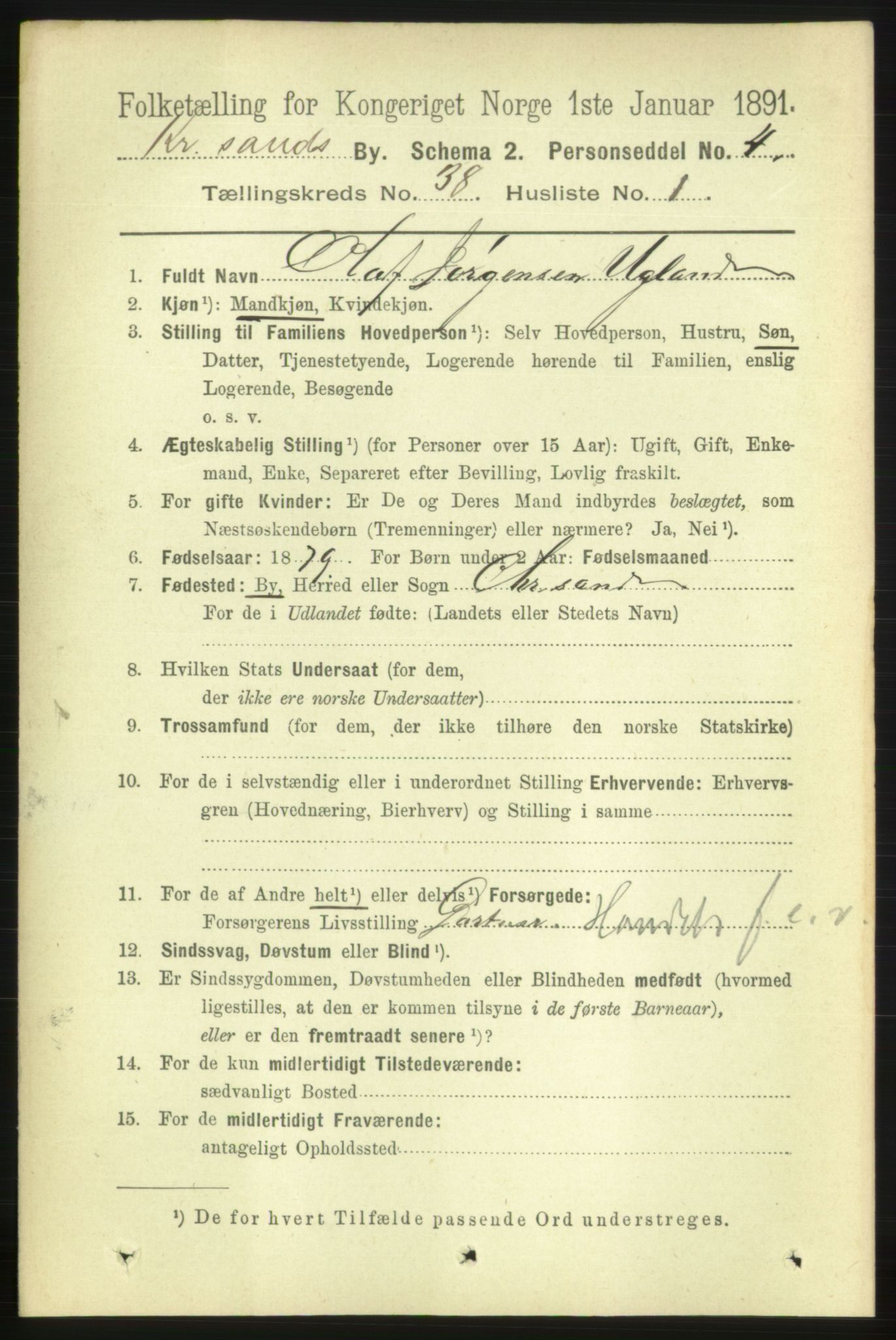 RA, 1891 census for 1001 Kristiansand, 1891, p. 12171