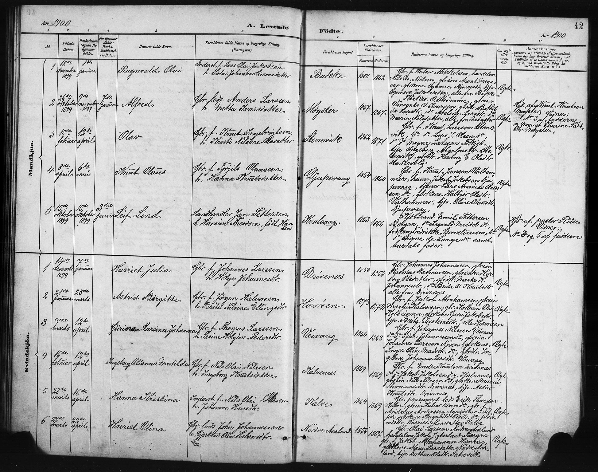 Austevoll Sokneprestembete, SAB/A-74201/H/Hab: Parish register (copy) no. B 4, 1889-1901, p. 42