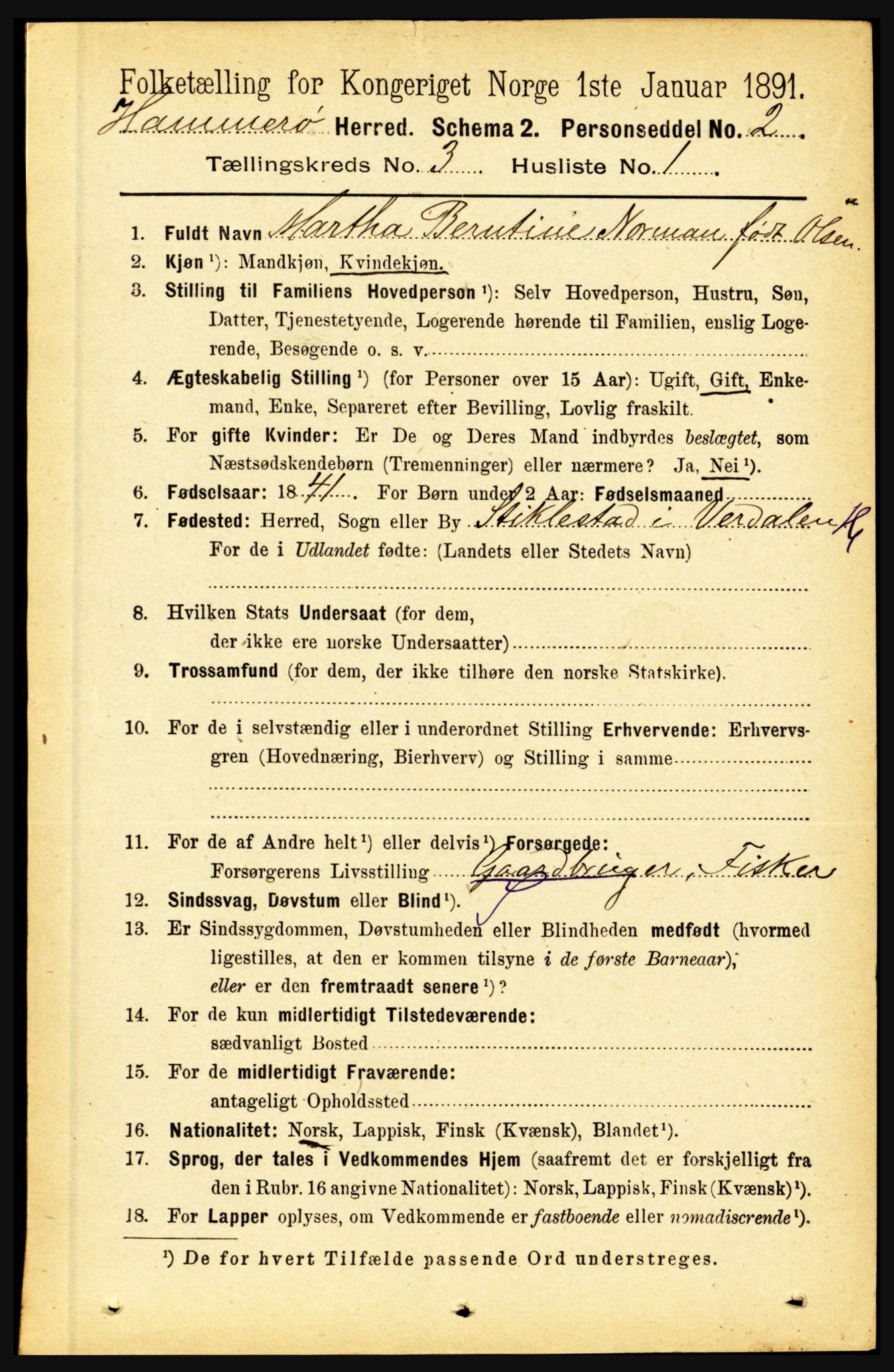 RA, 1891 census for 1849 Hamarøy, 1891, p. 1254