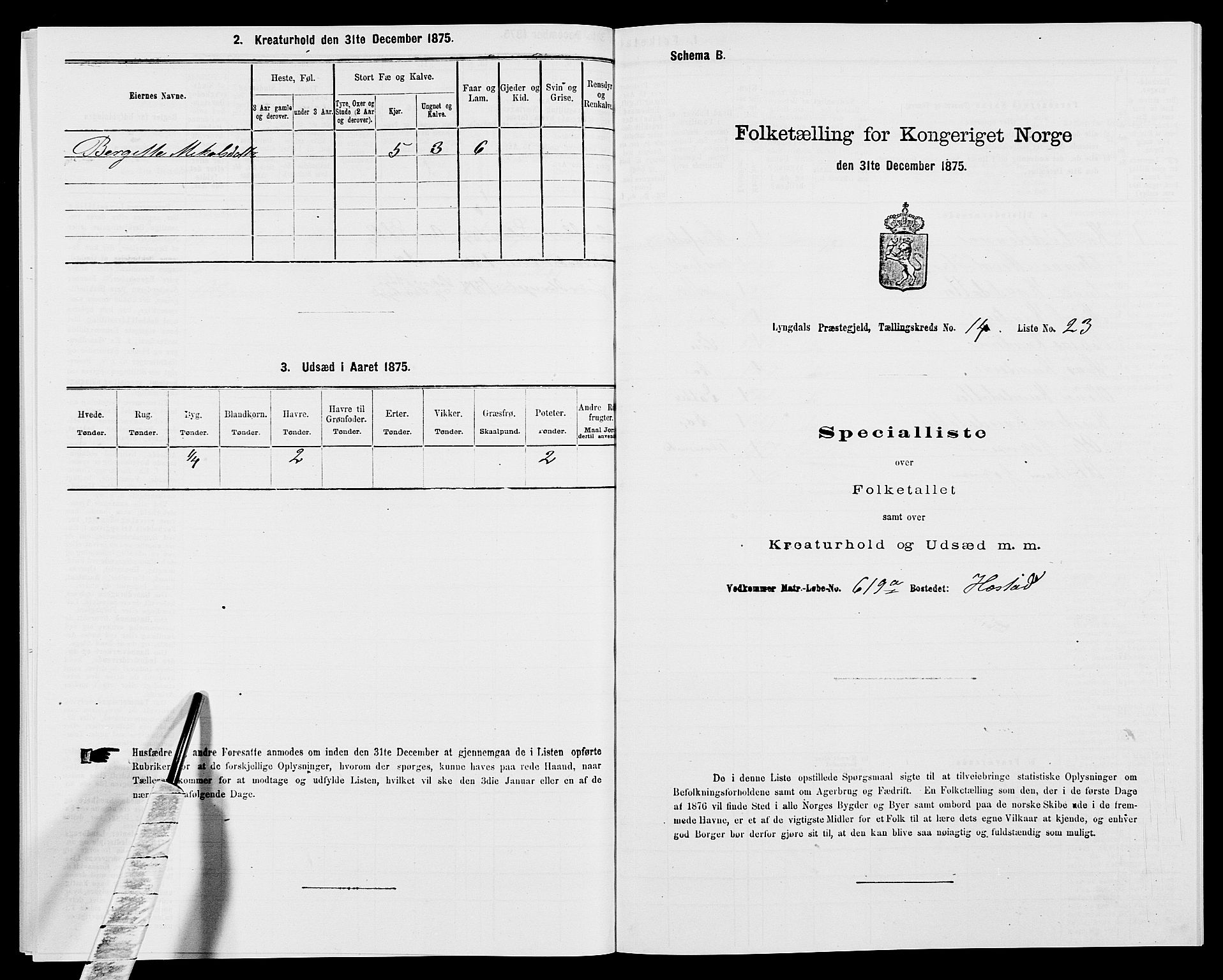 SAK, 1875 census for 1032P Lyngdal, 1875, p. 2061