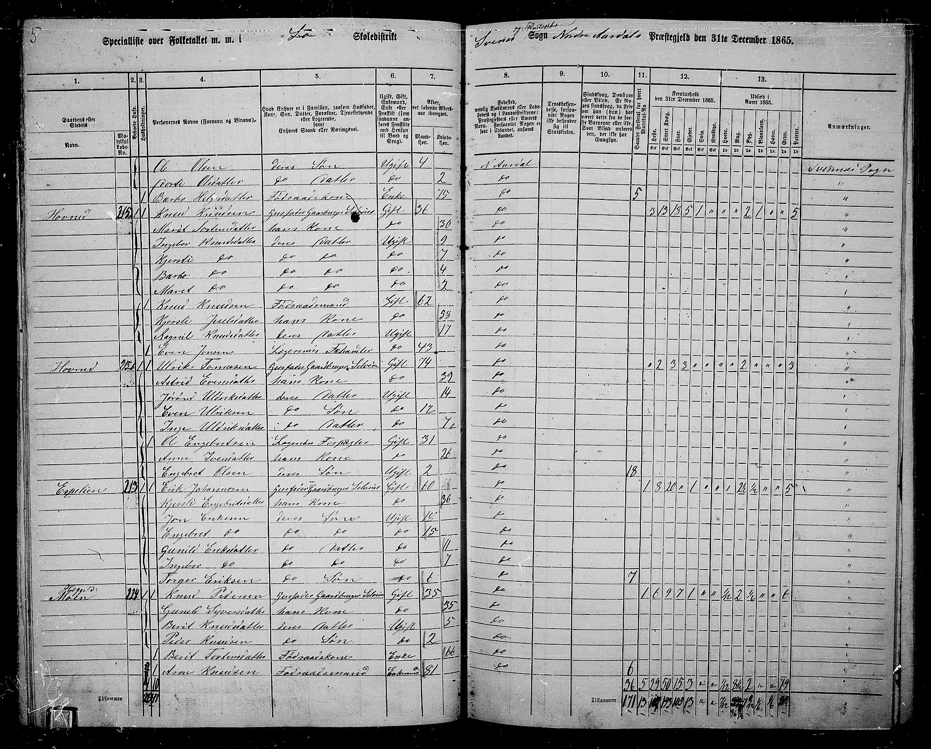 RA, 1865 census for Nord-Aurdal, 1865, p. 100