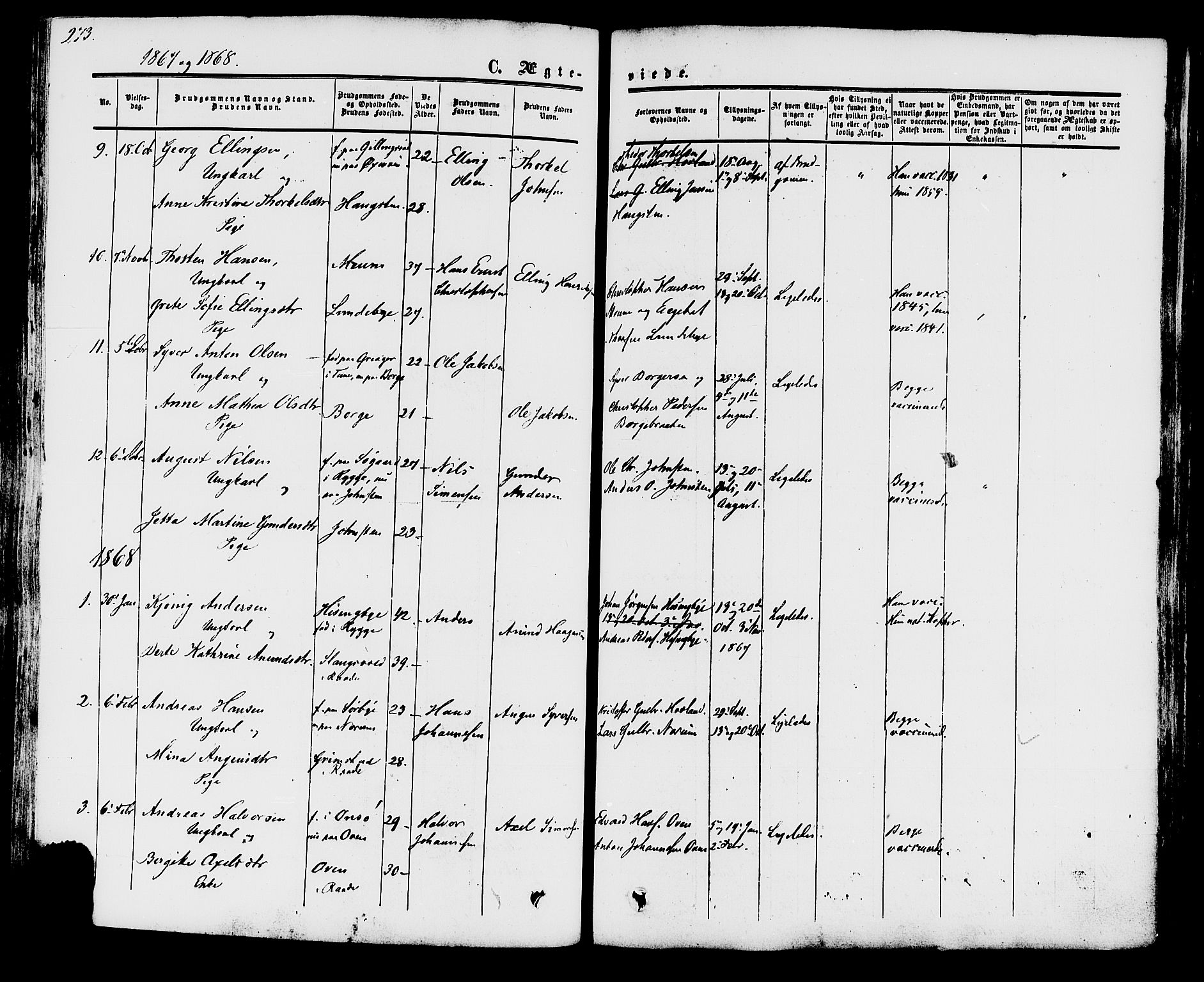 Råde prestekontor kirkebøker, AV/SAO-A-2009/F/Fa/L0006: Parish register (official) no. 6, 1854-1877, p. 273