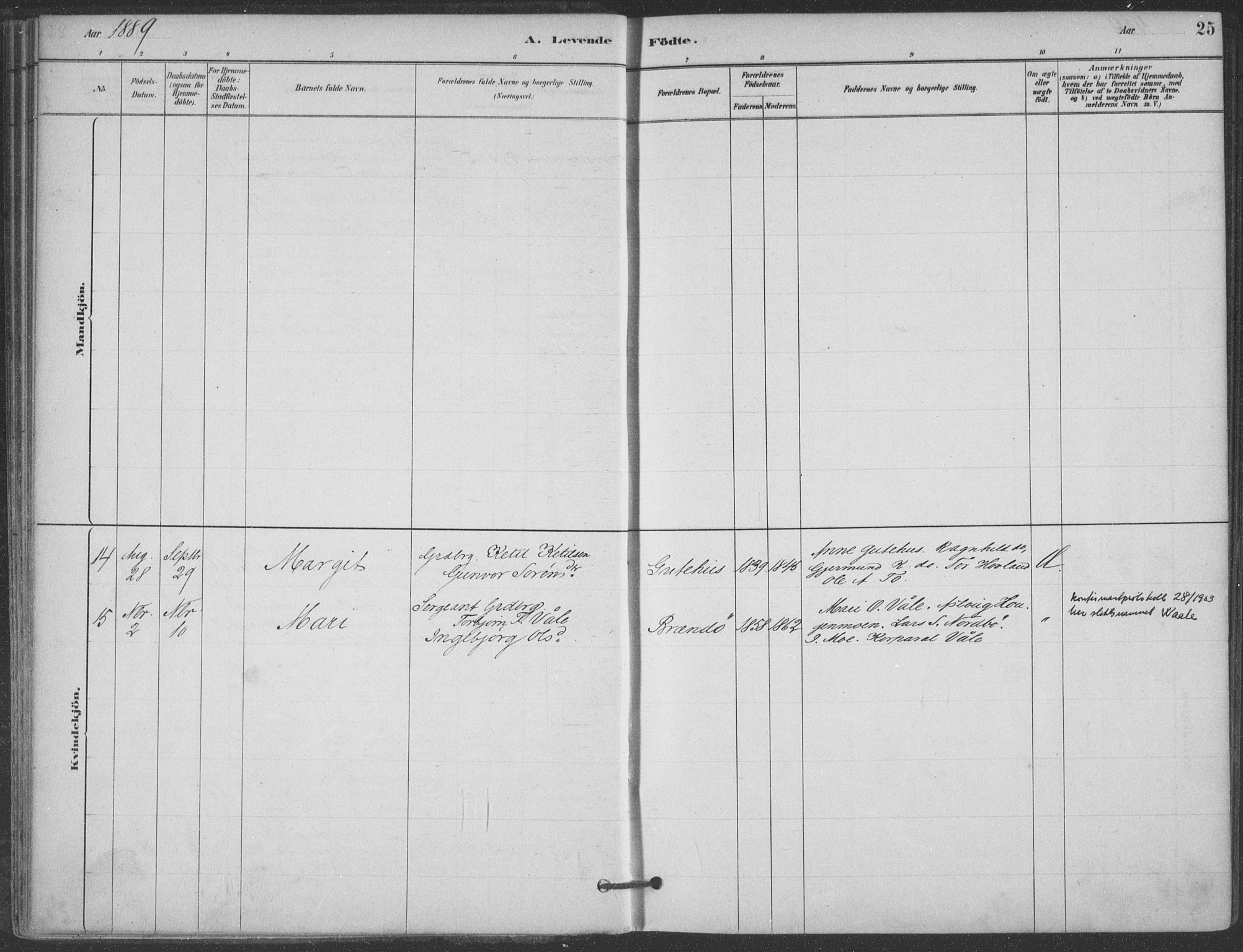 Hjartdal kirkebøker, AV/SAKO-A-270/F/Fa/L0010: Parish register (official) no. I 10, 1880-1929, p. 25