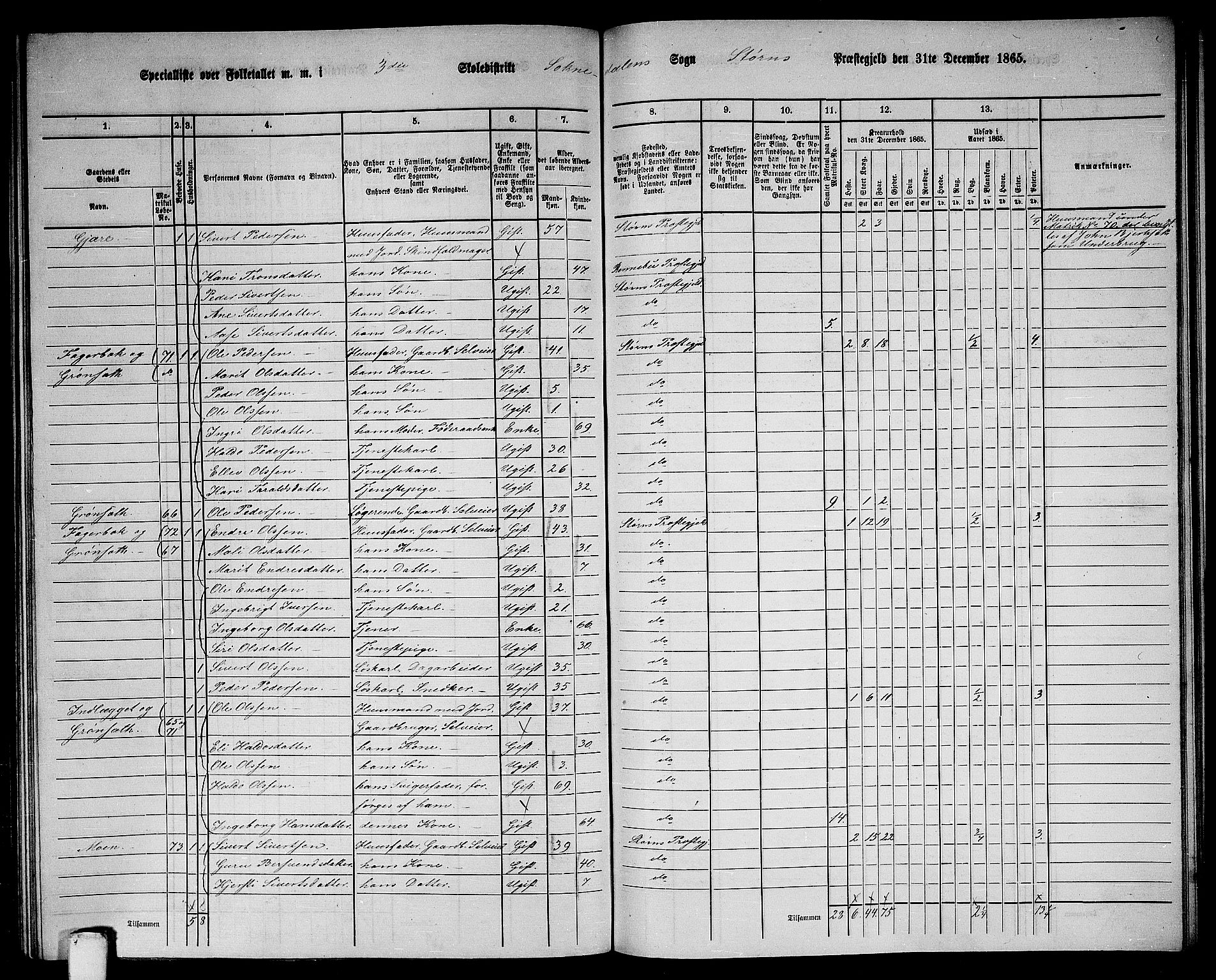 RA, 1865 census for Støren, 1865, p. 256