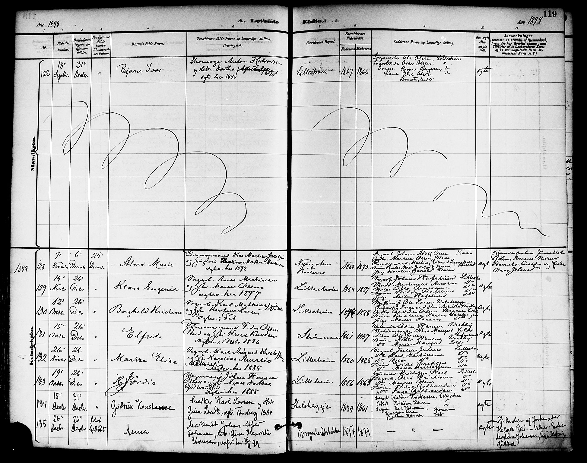 Skedsmo prestekontor Kirkebøker, SAO/A-10033a/F/Fa/L0014: Parish register (official) no. I 14, 1892-1901, p. 119