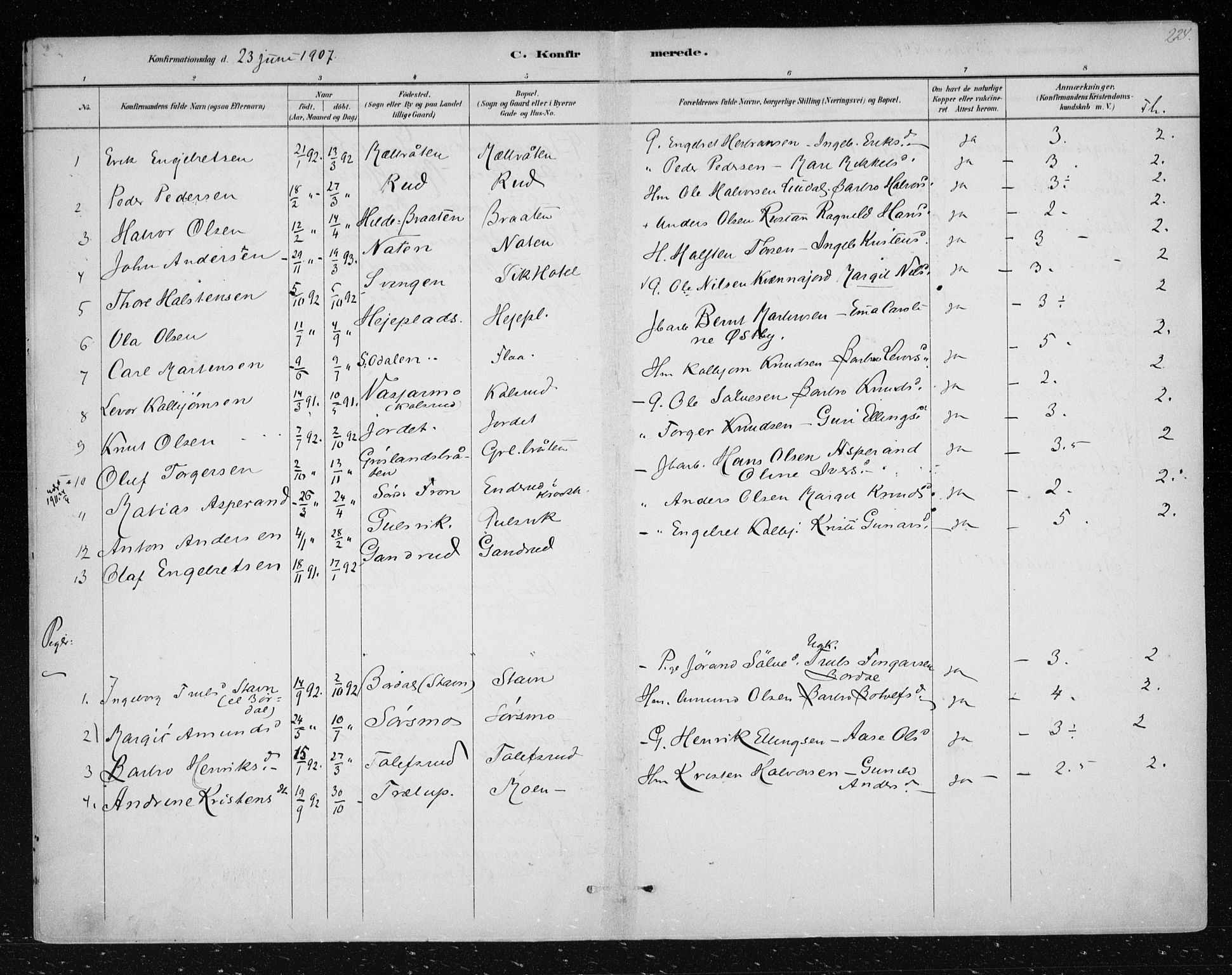 Nes kirkebøker, AV/SAKO-A-236/F/Fa/L0012: Parish register (official) no. 12, 1881-1917, p. 224