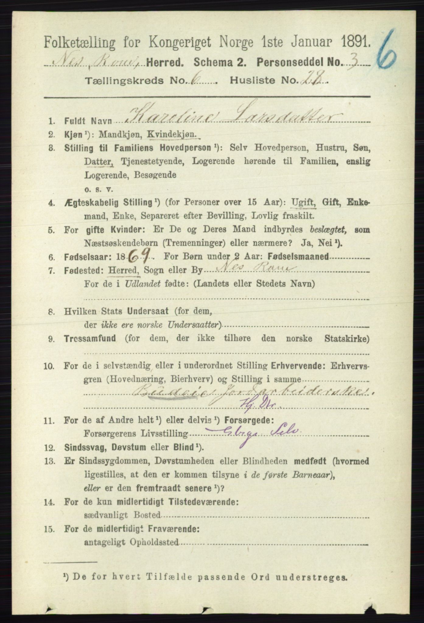 RA, 1891 census for 0236 Nes, 1891, p. 3551