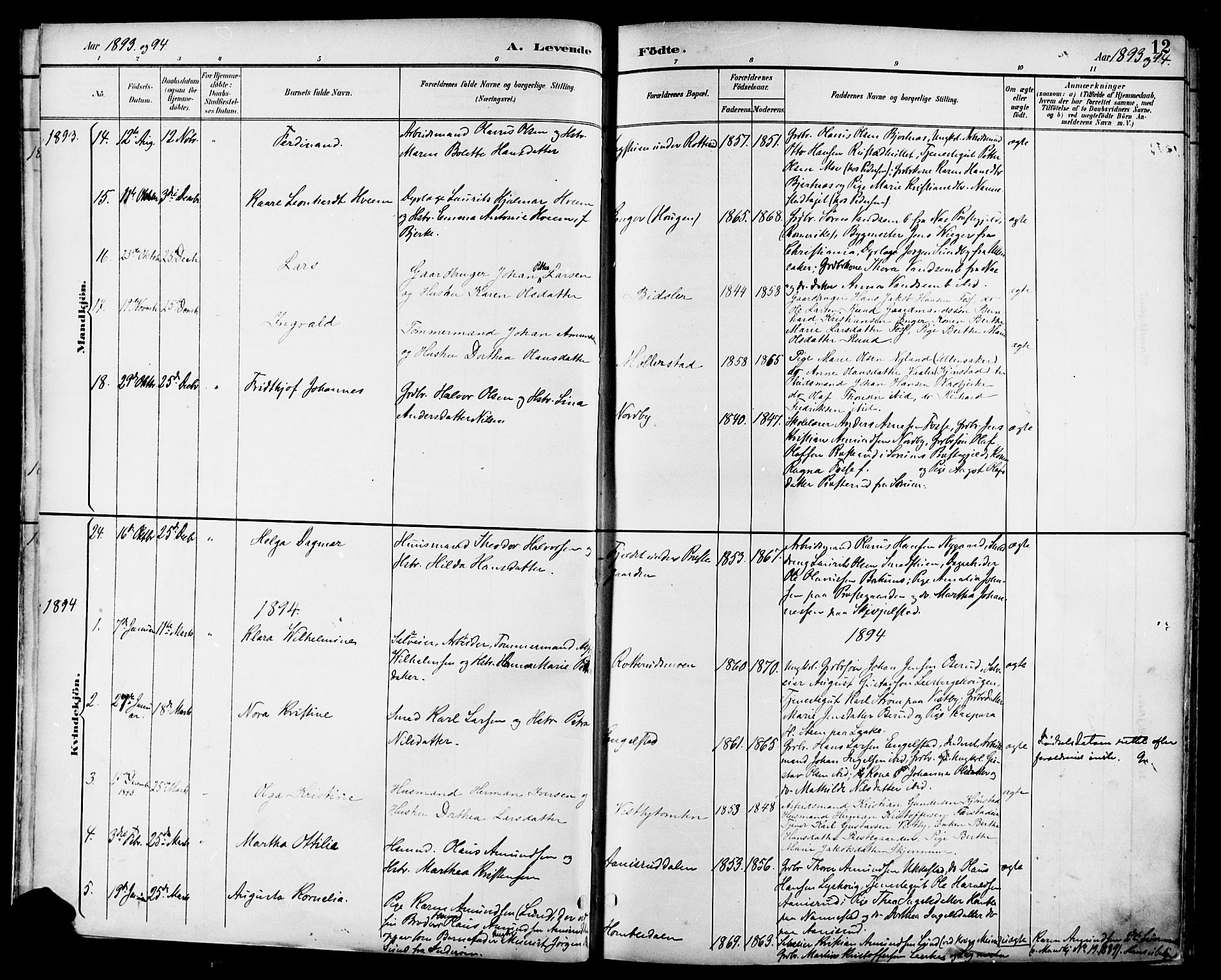 Nannestad prestekontor Kirkebøker, SAO/A-10414a/F/Fa/L0015: Parish register (official) no. I 15, 1891-1905, p. 12