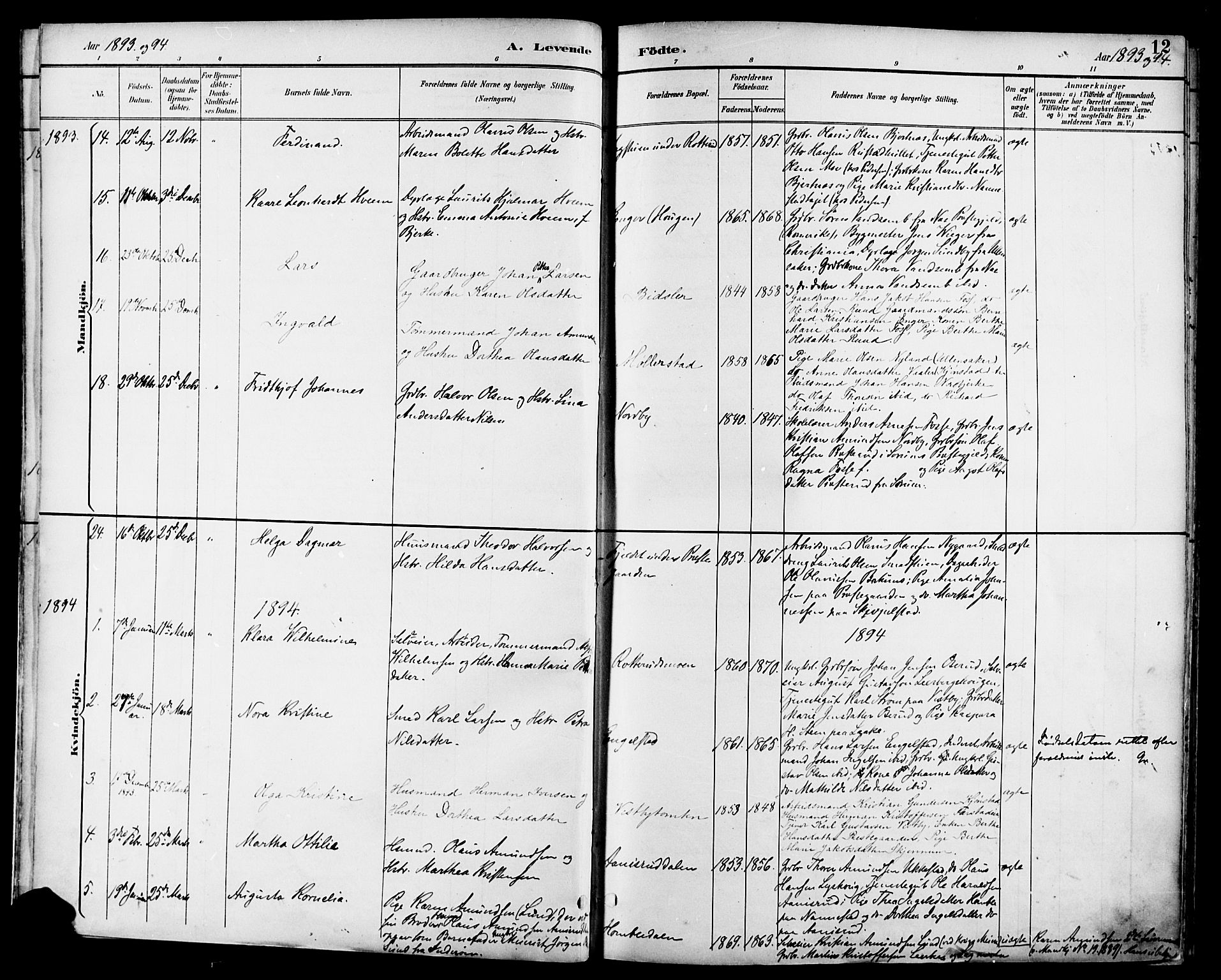 Nannestad prestekontor Kirkebøker, AV/SAO-A-10414a/F/Fa/L0015: Parish register (official) no. I 15, 1891-1905, p. 12