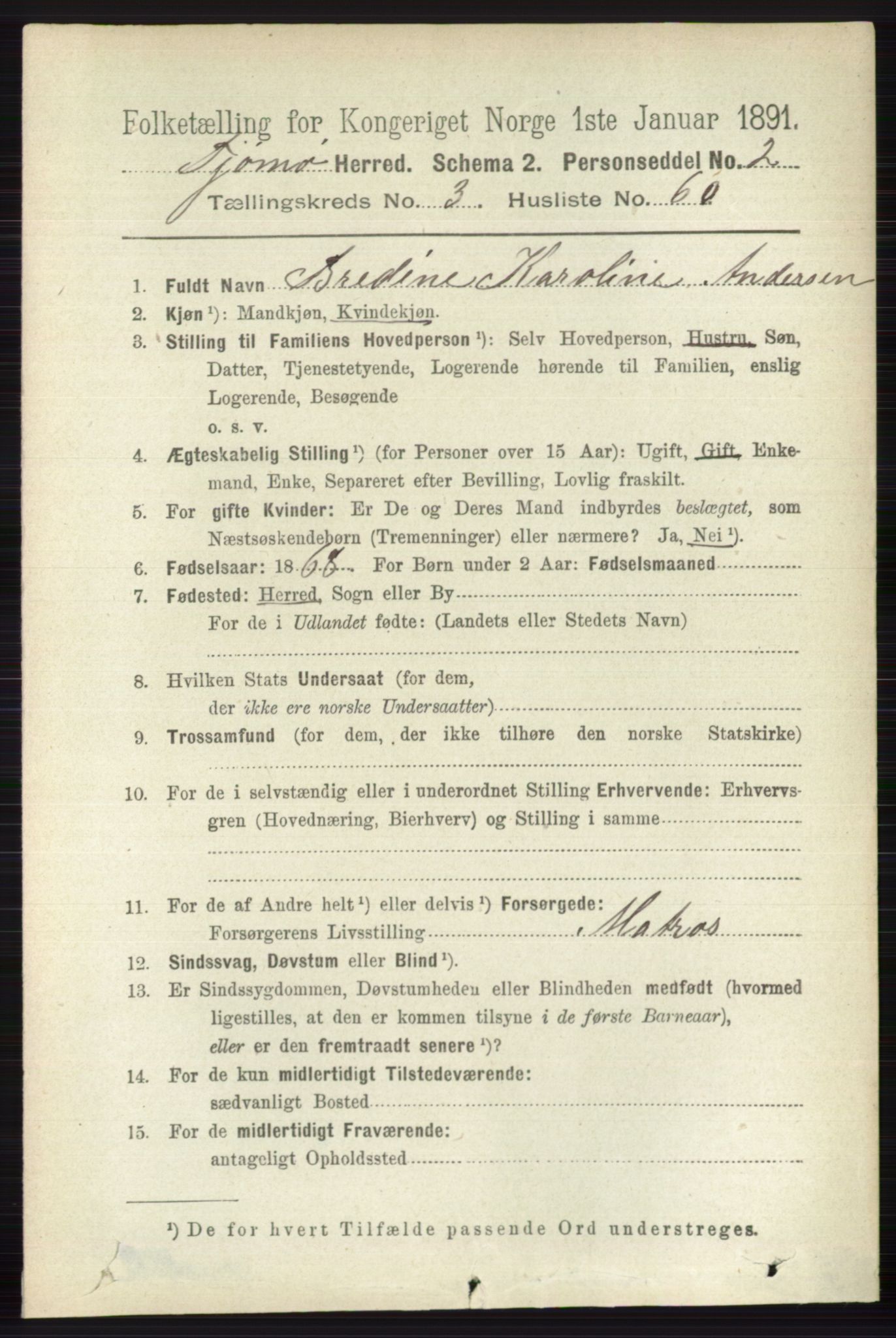 RA, 1891 census for 0723 Tjøme, 1891, p. 1208