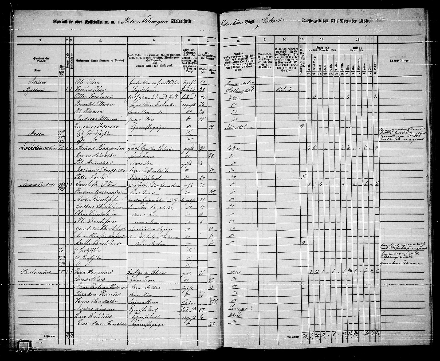 RA, 1865 census for Eiker, 1865, p. 308