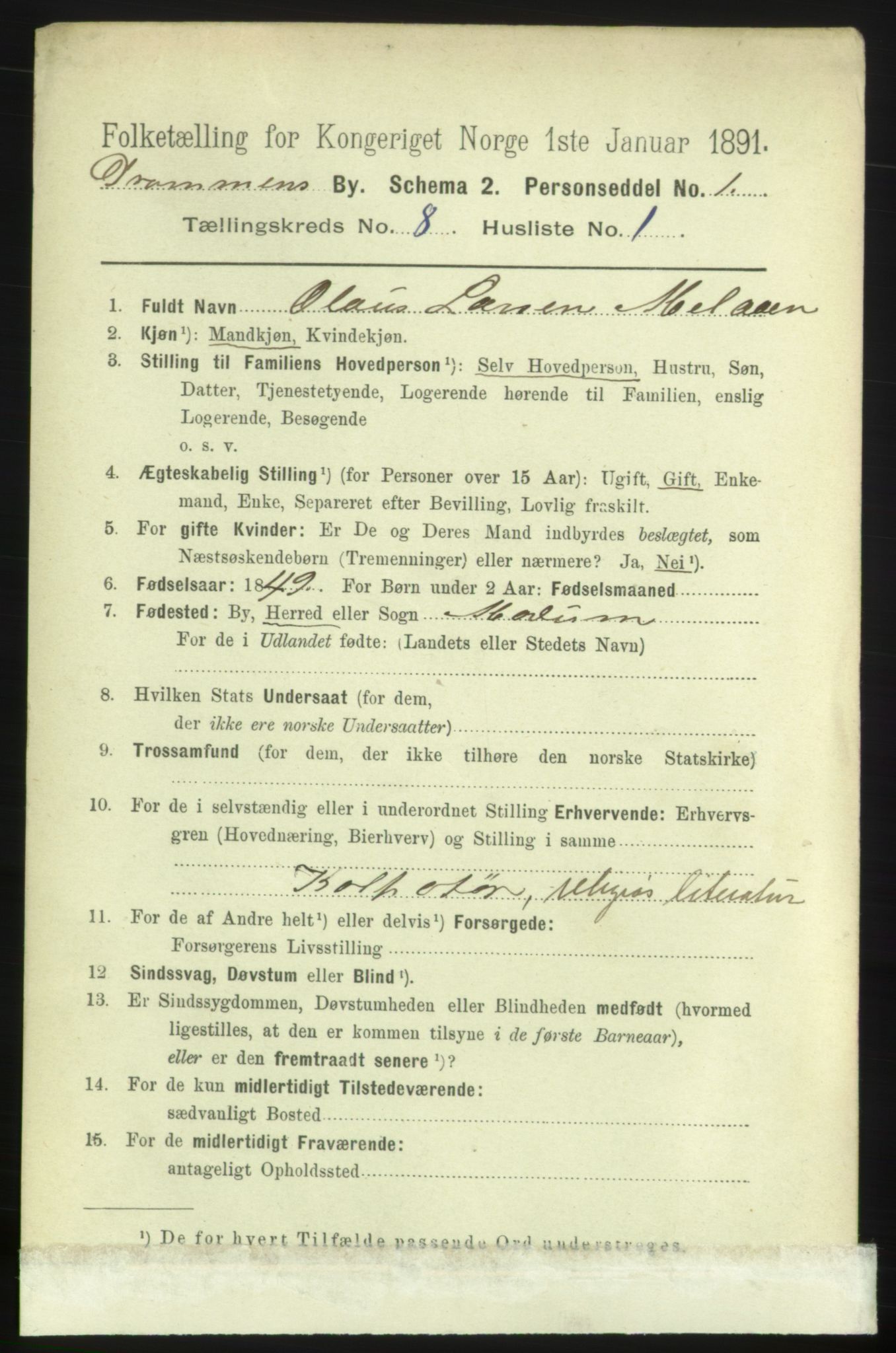 RA, 1891 census for 0602 Drammen, 1891, p. 6773