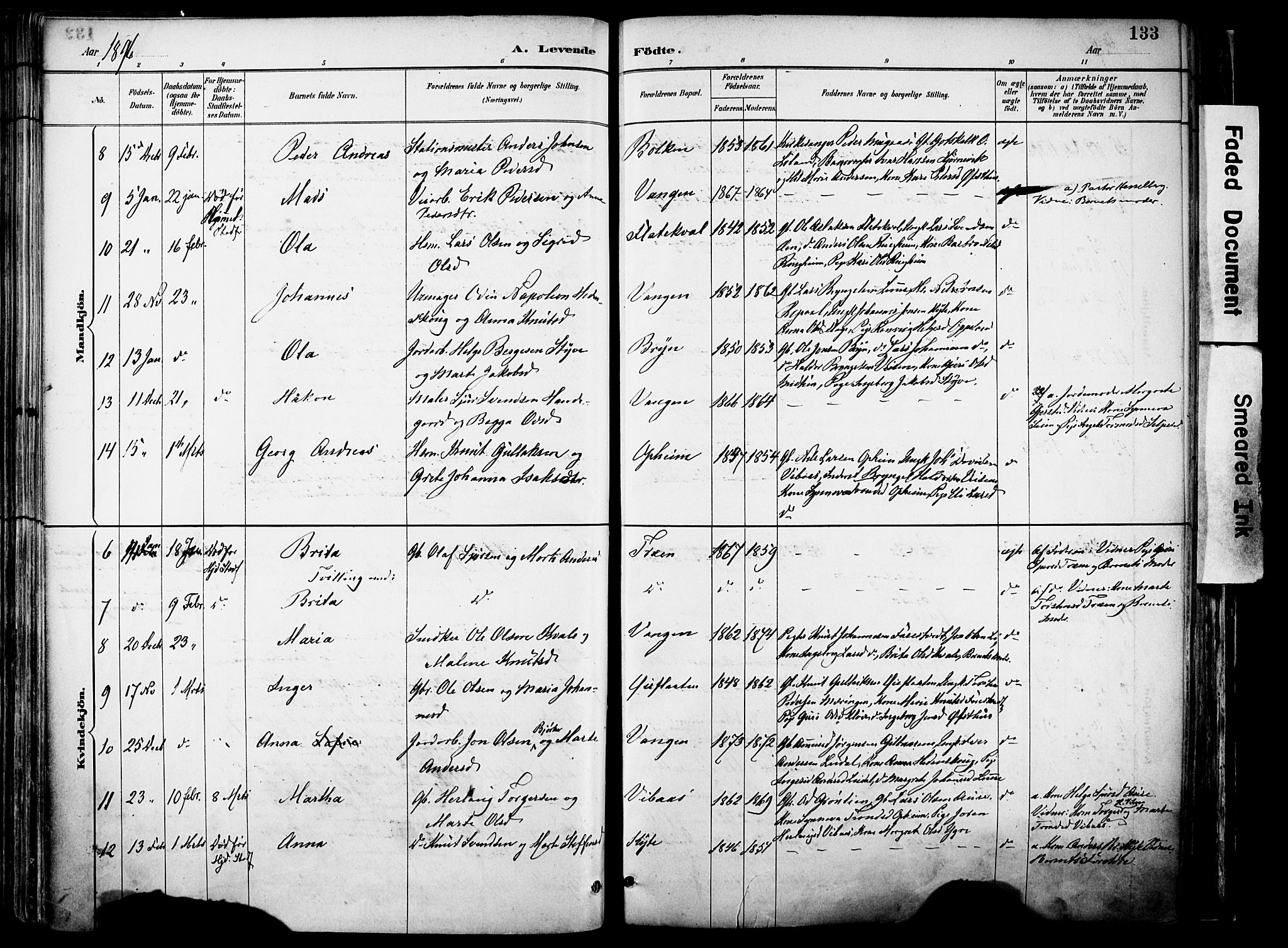 Voss sokneprestembete, SAB/A-79001/H/Haa: Parish register (official) no. A 21, 1887-1903, p. 133