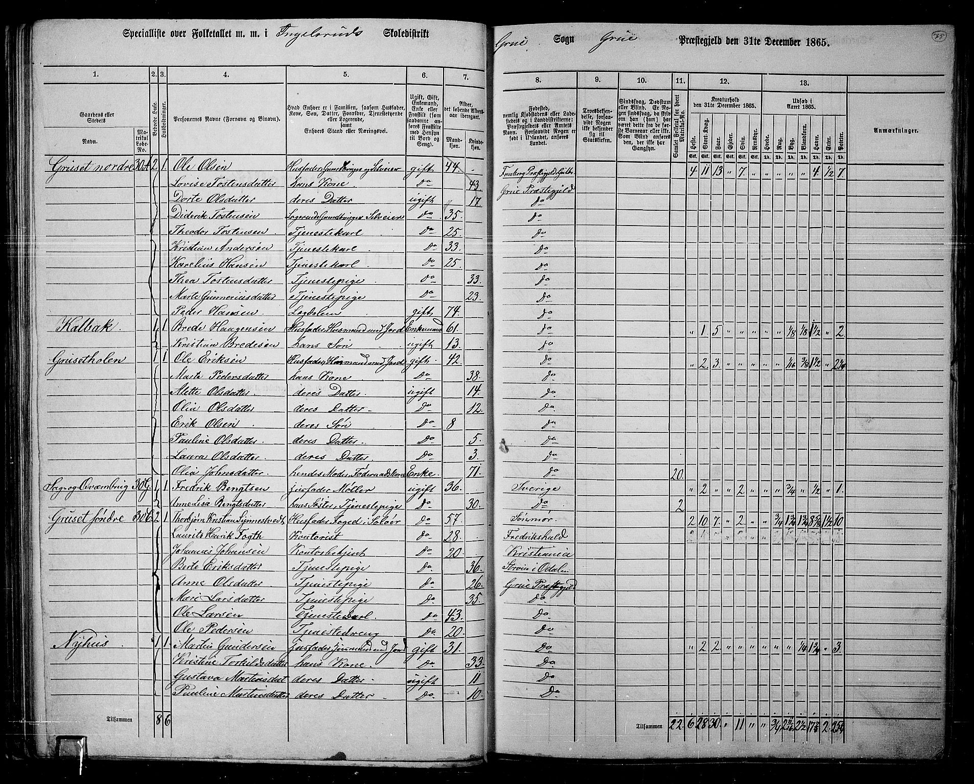 RA, 1865 census for Grue, 1865, p. 65