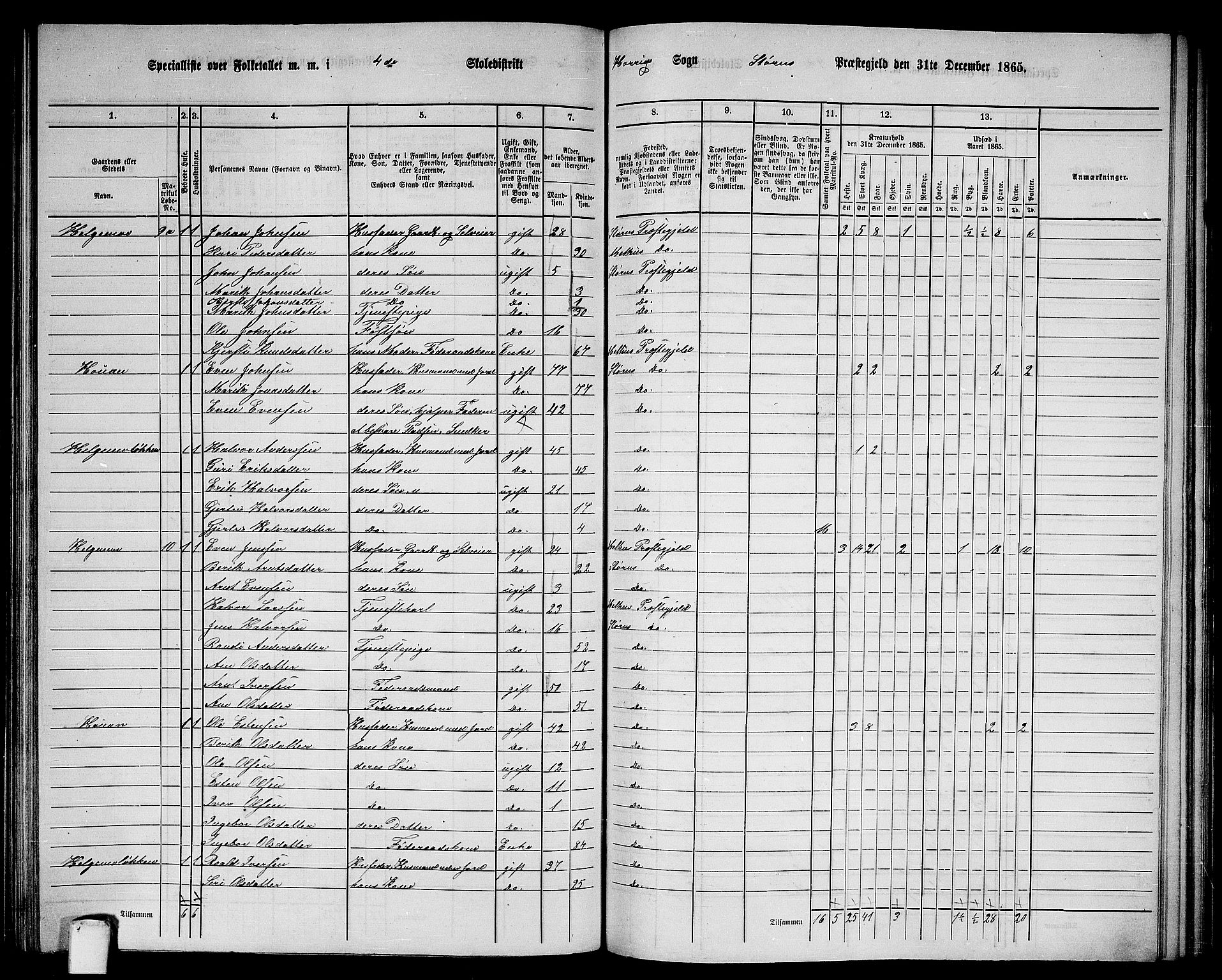 RA, 1865 census for Støren, 1865, p. 175